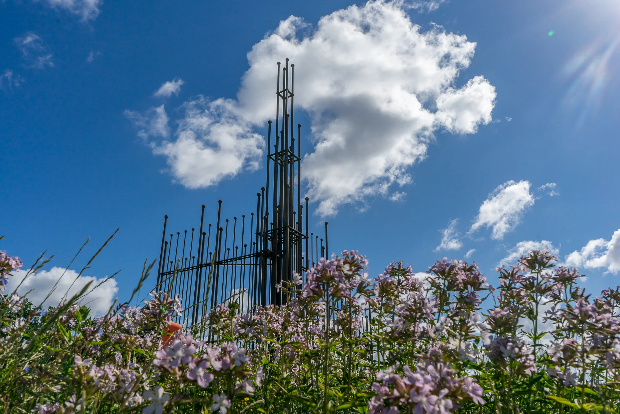 DSC04026-HDR.jpg