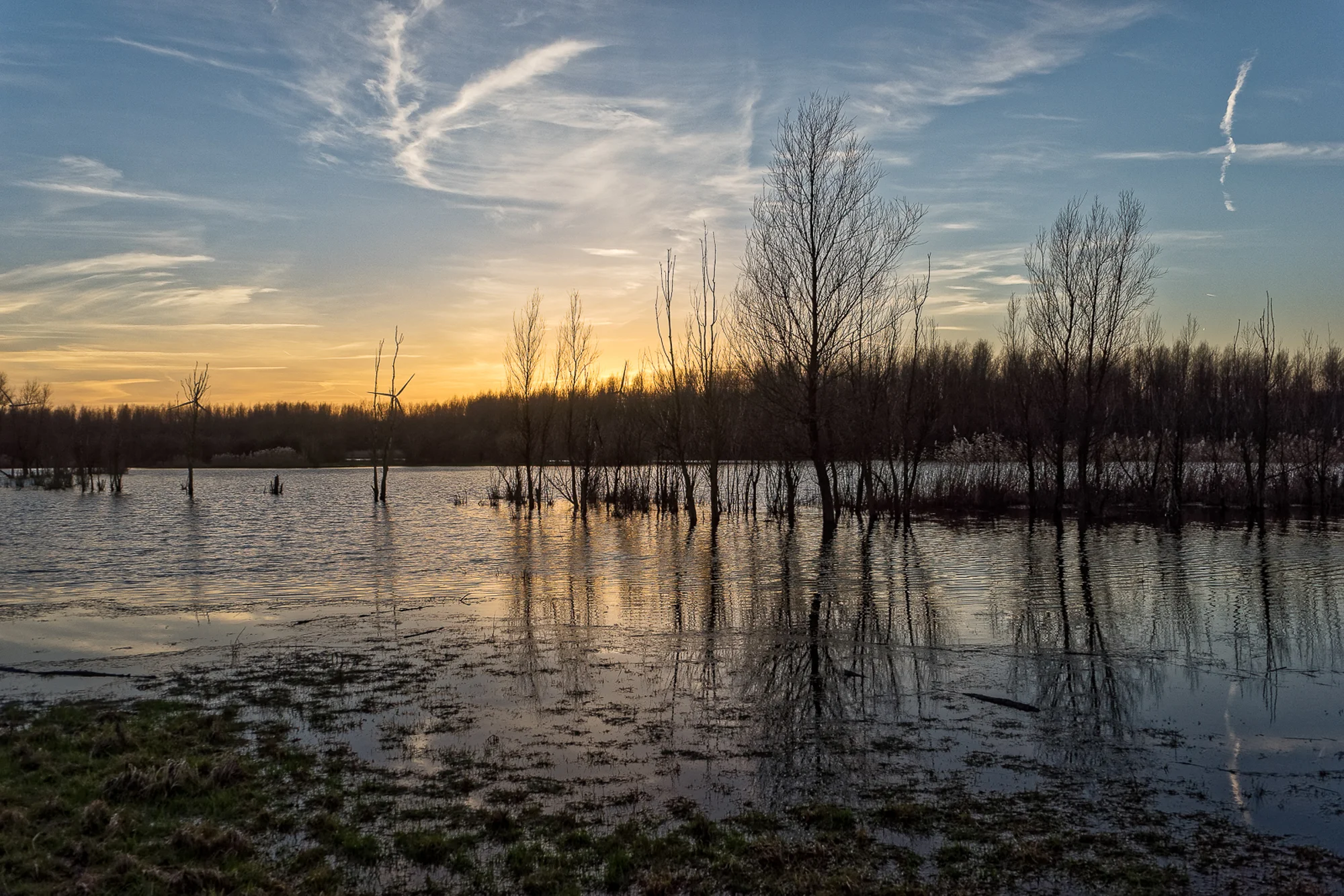 marcelsteinbach.nl--5.jpg
