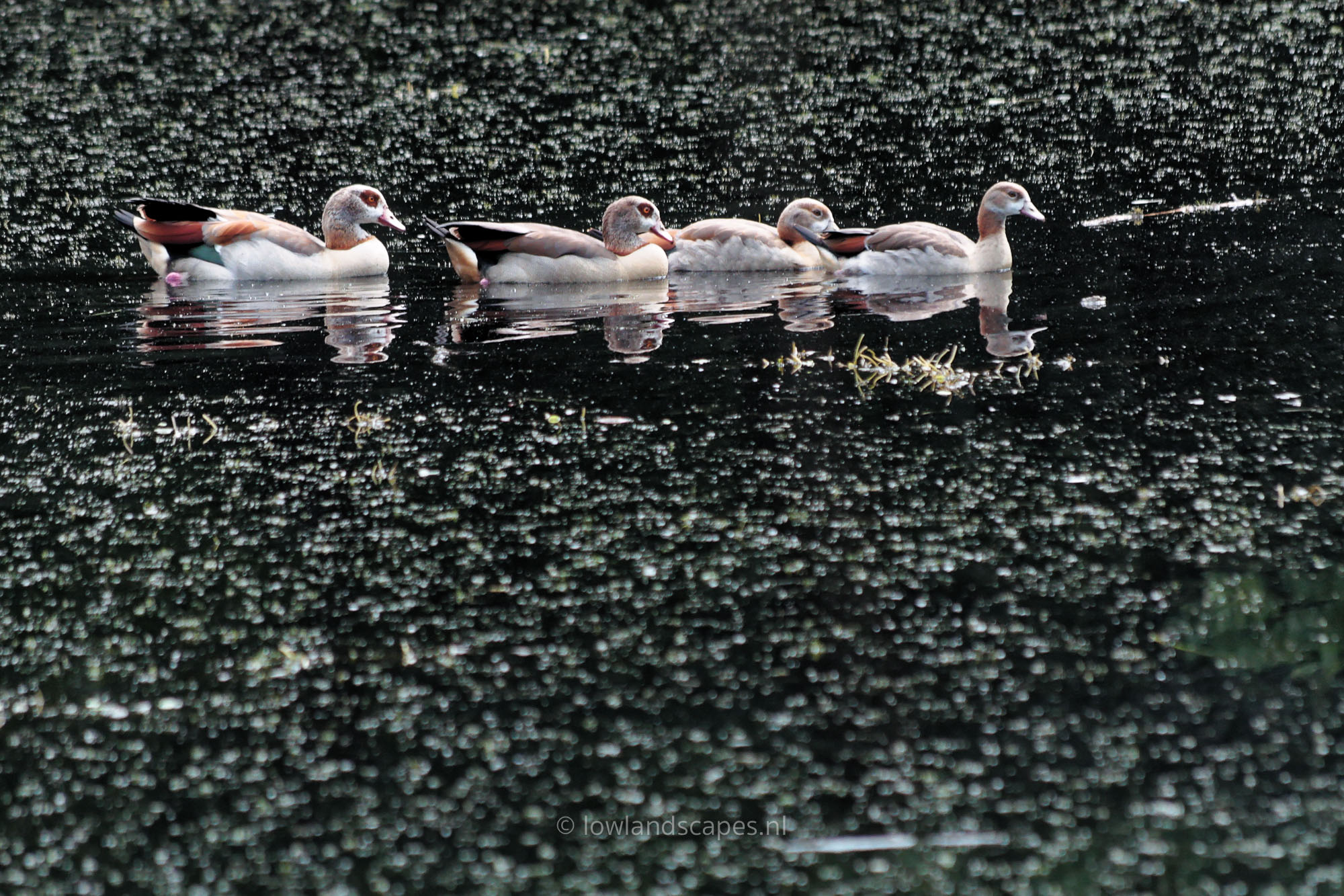 IMG_5686_DxO.jpg