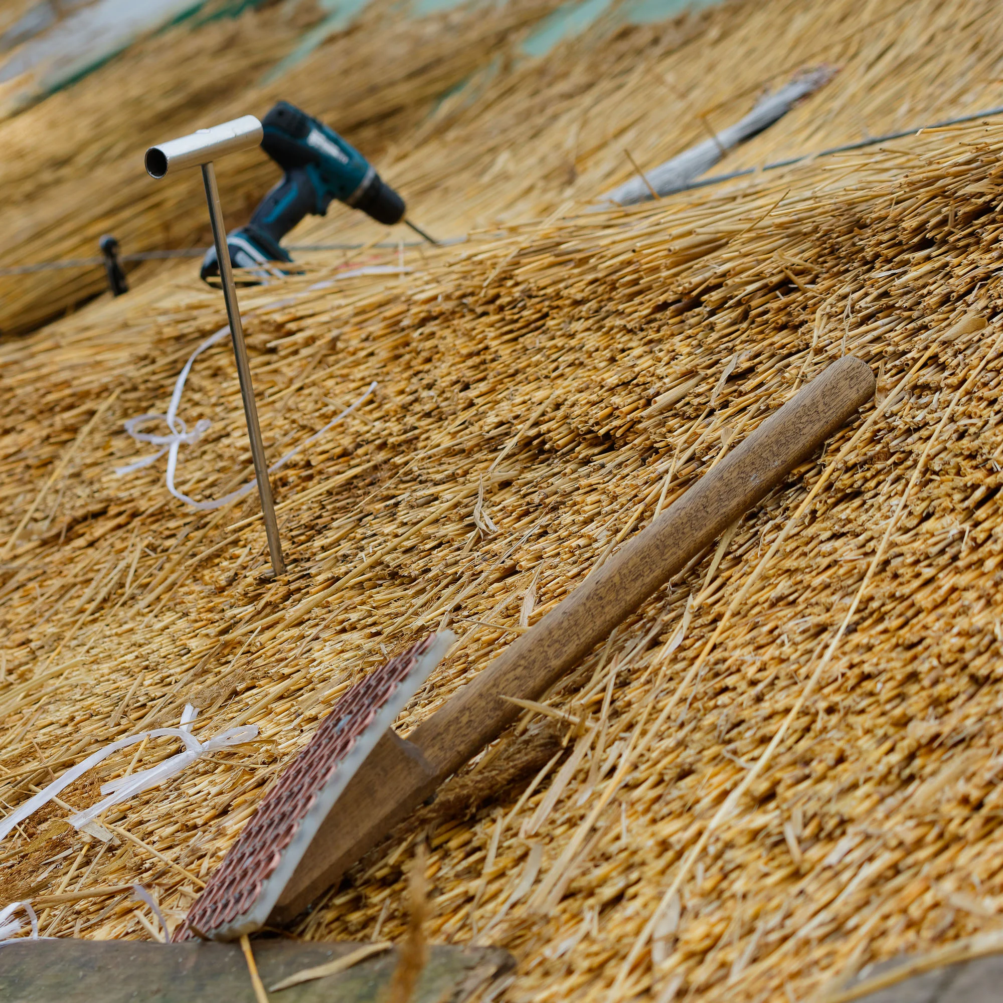 DSC09762_DxO.jpg