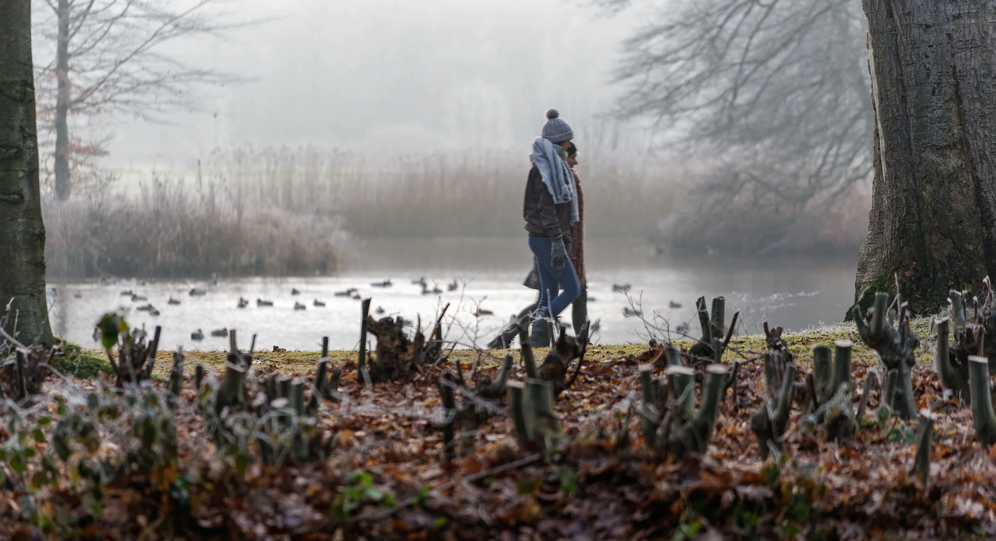 Groeneveld is een favoriet wandelgebied voor Het Gooi