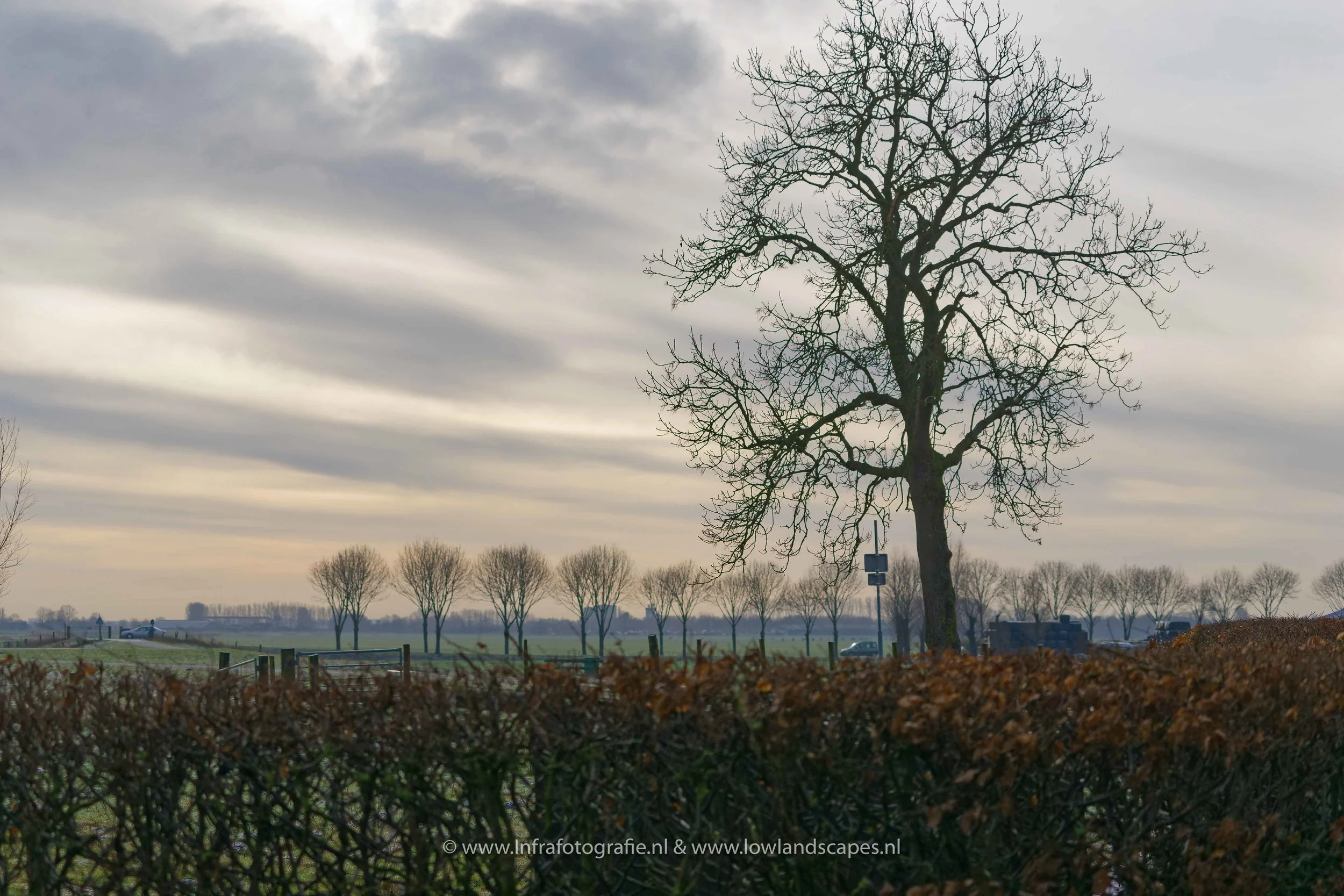Landmark tree nabij het Sluisje van Eemnes?