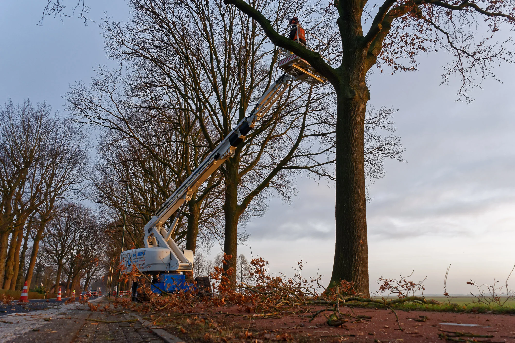 Onderhoudssnoei.
