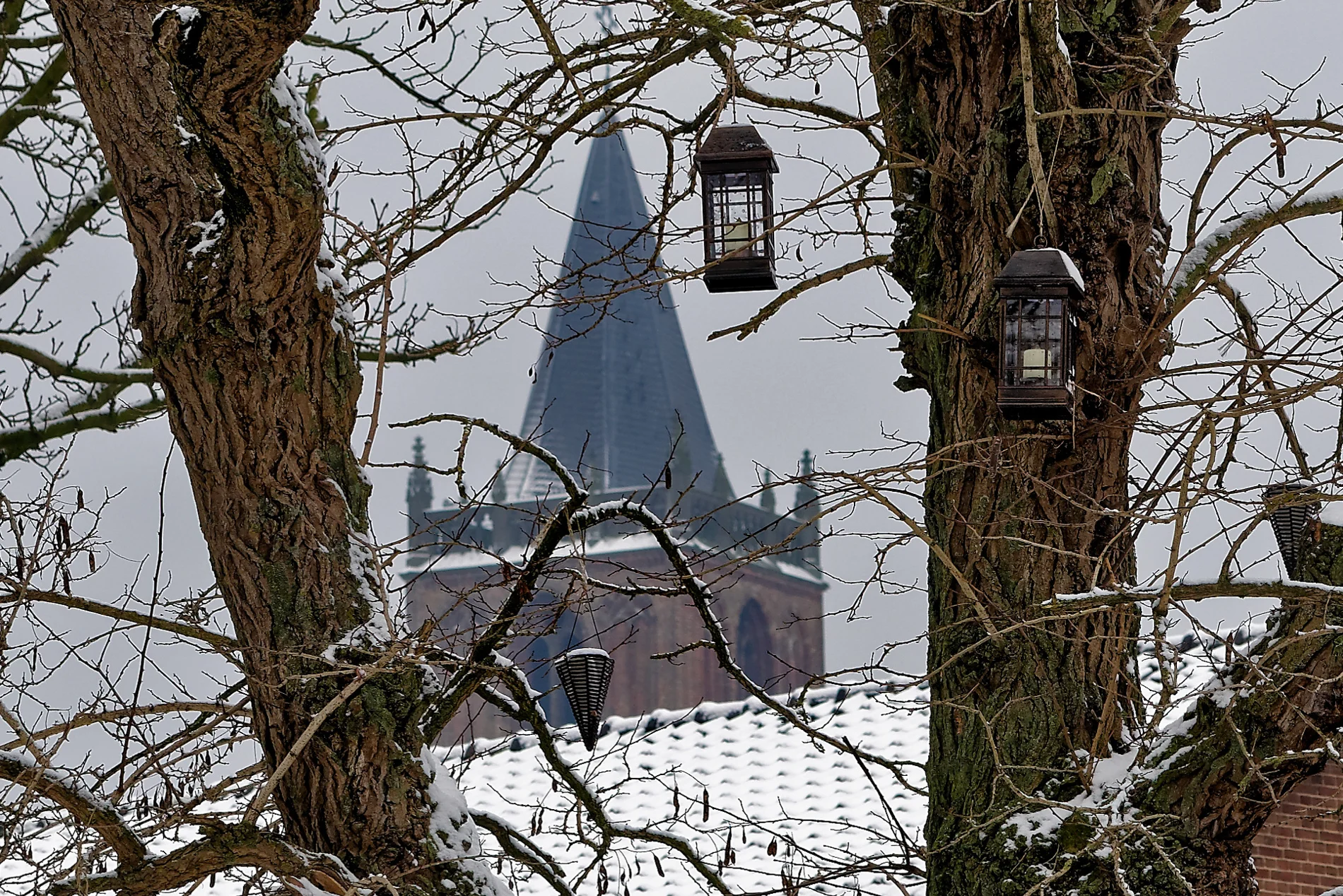 Wespenvangers in wintertijd 2016/17