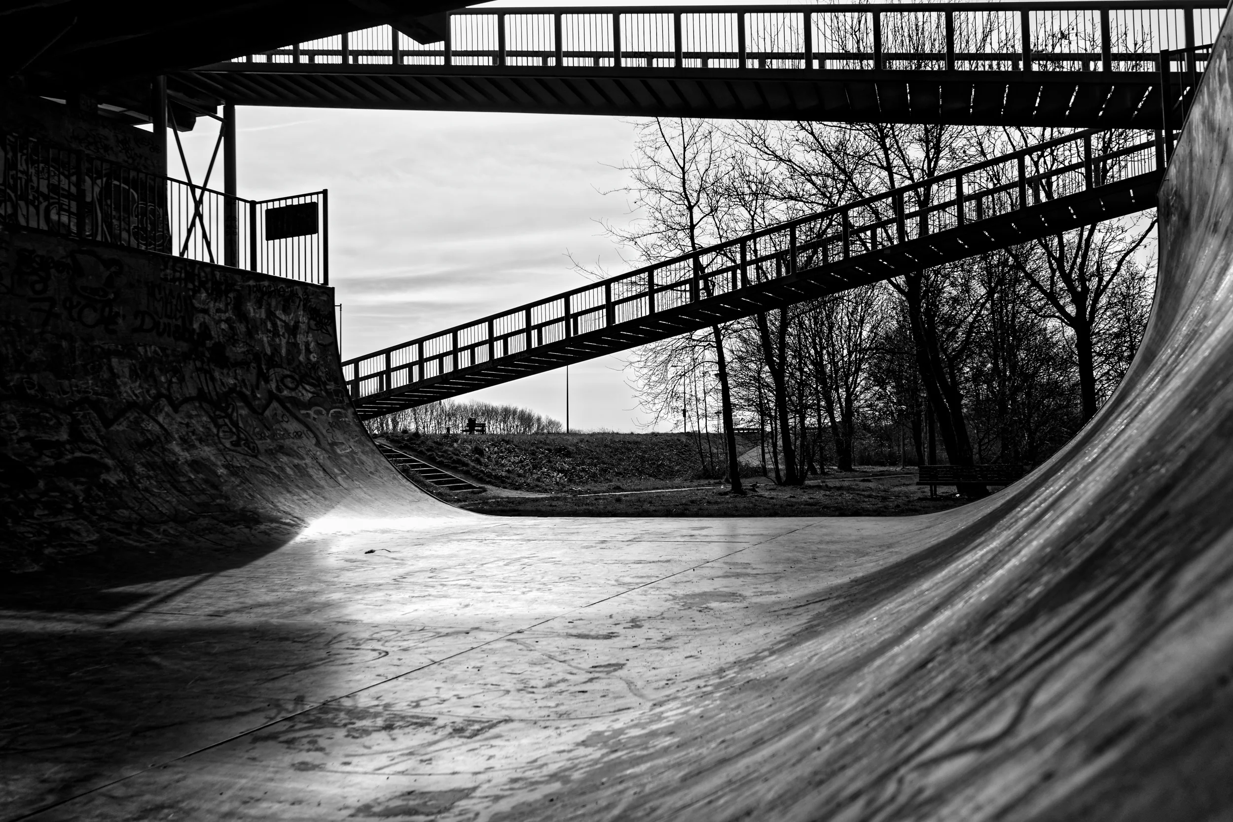 DSC08984_DxO.jpg