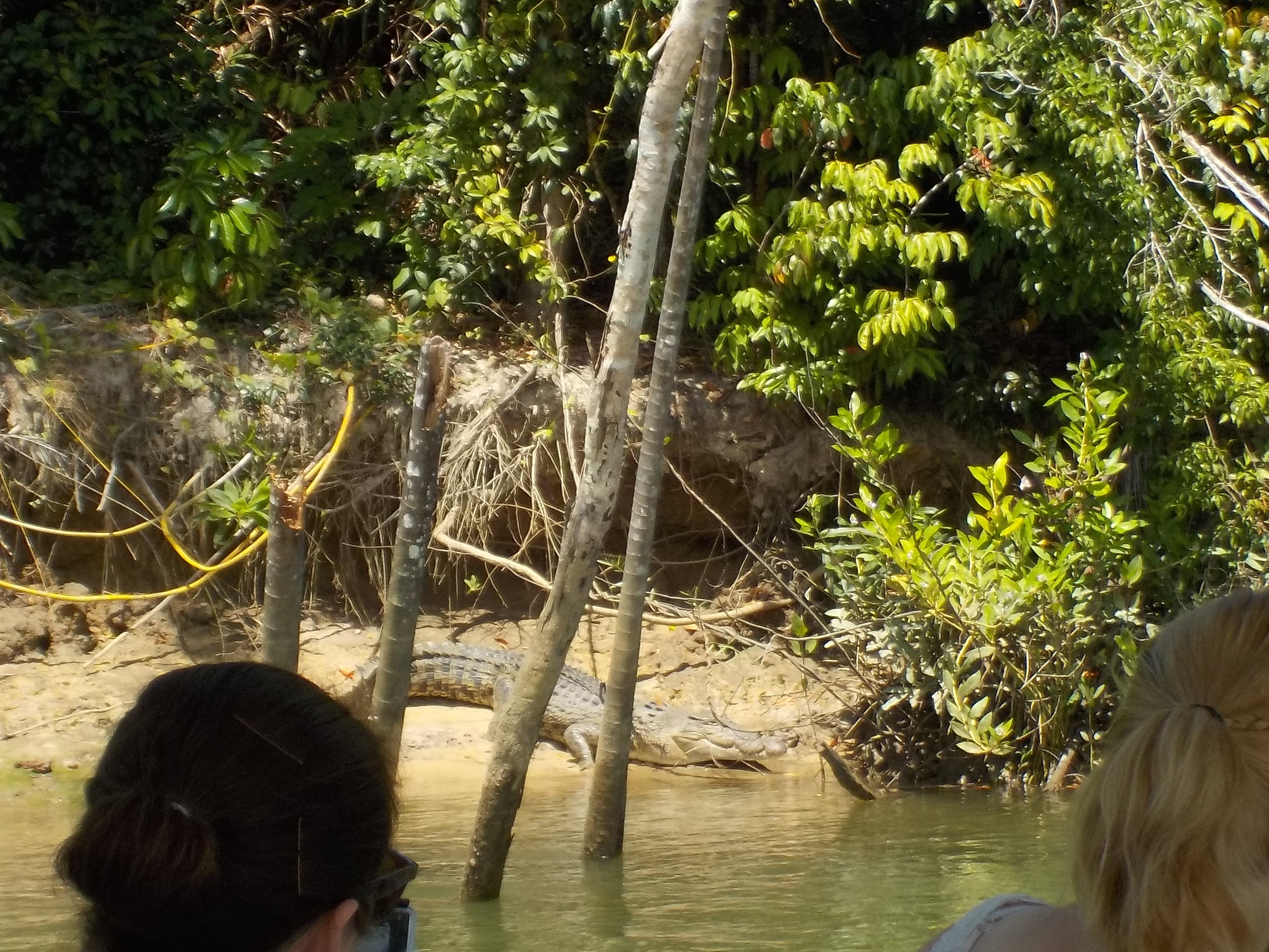 Our tour-guide told us her name is Beatrice