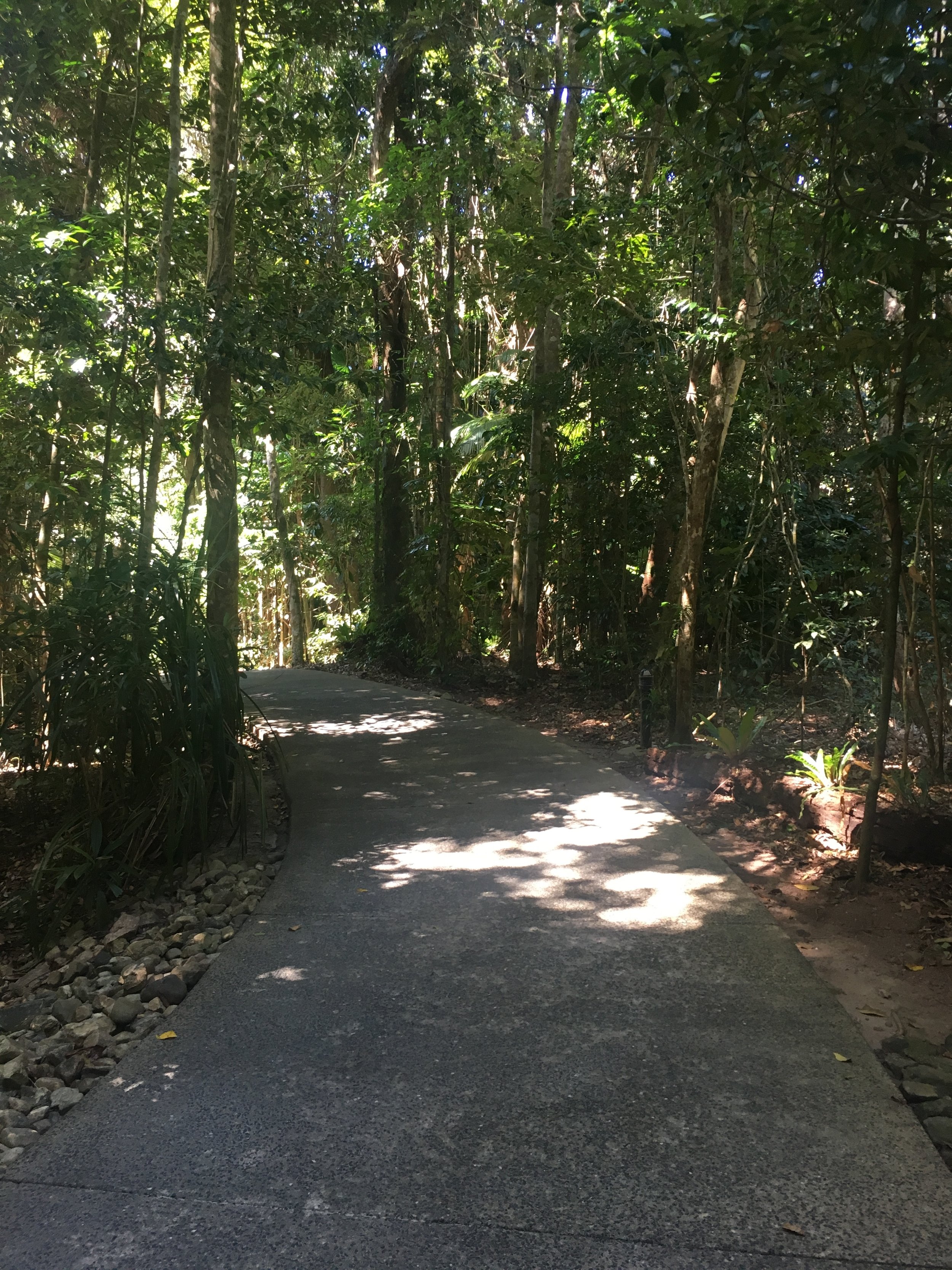Walkway through the resort