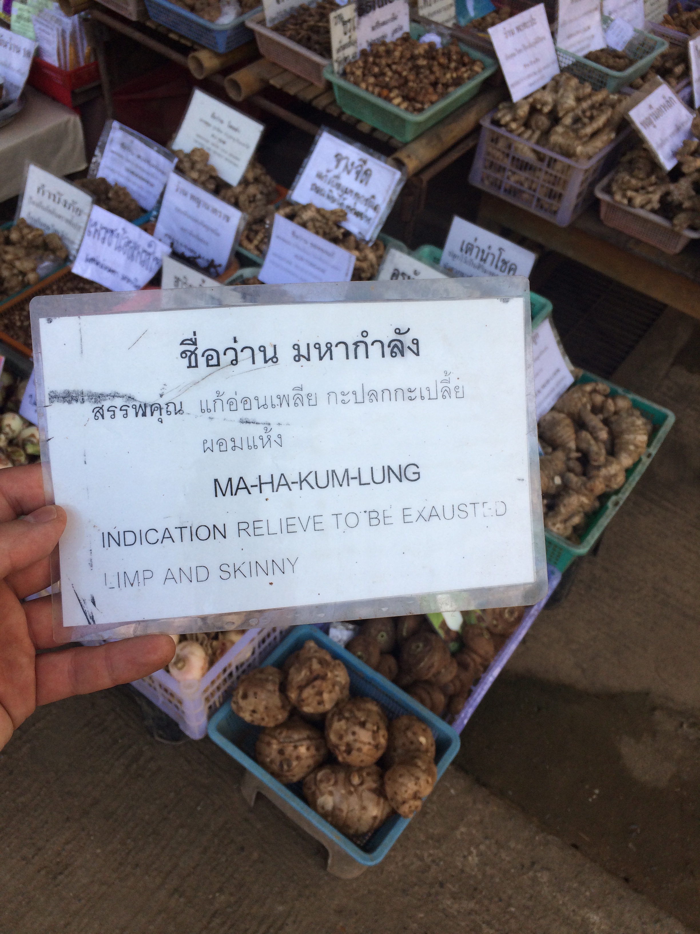 I've been looking for an herb for this type of relief! Chiang Dao, Thailand.