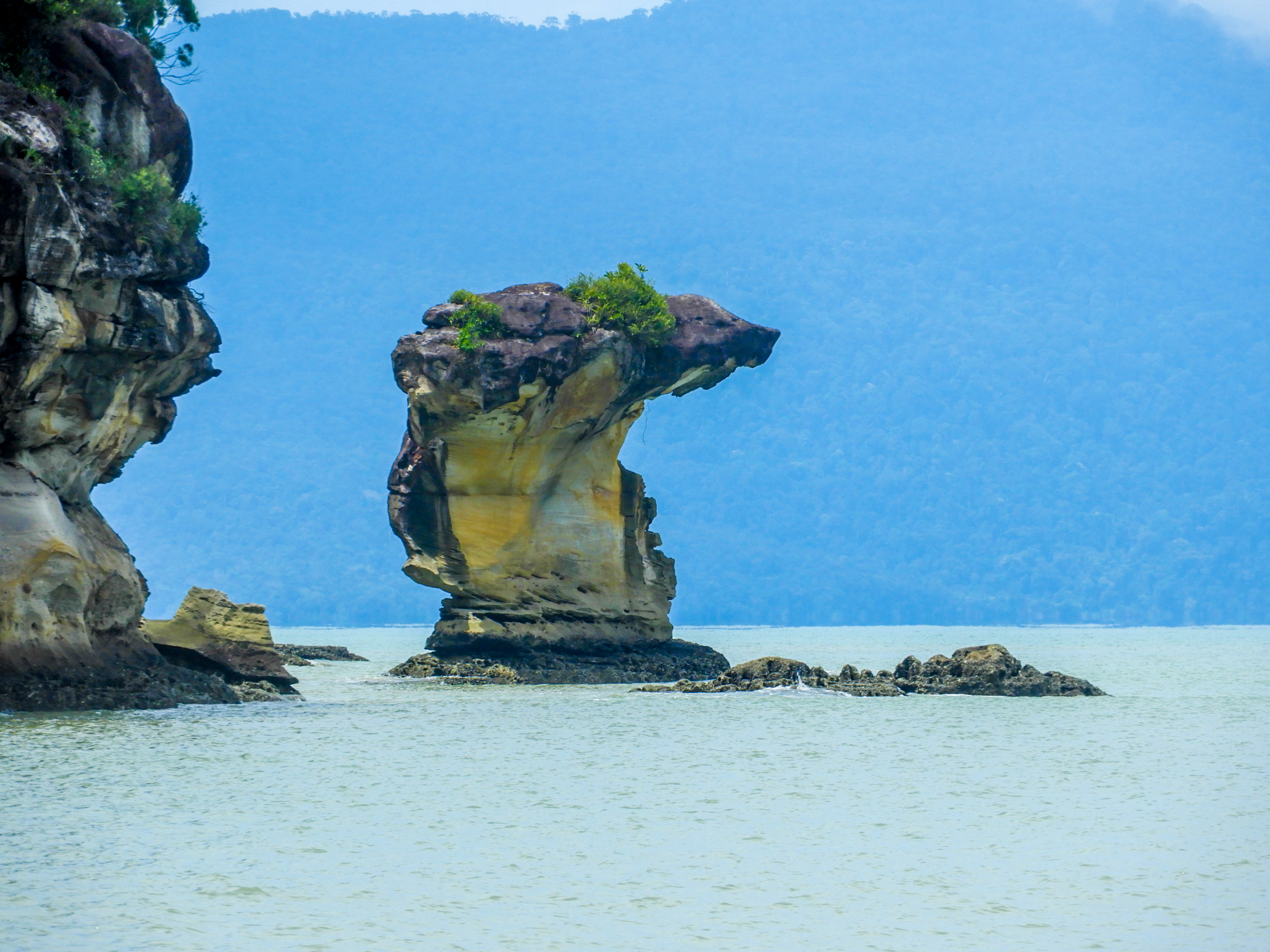 Use your imagination and it looks like the head of a cobra snake.