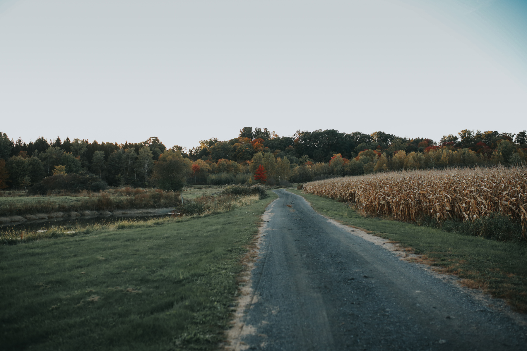 kinderhook_engagement_010.jpg
