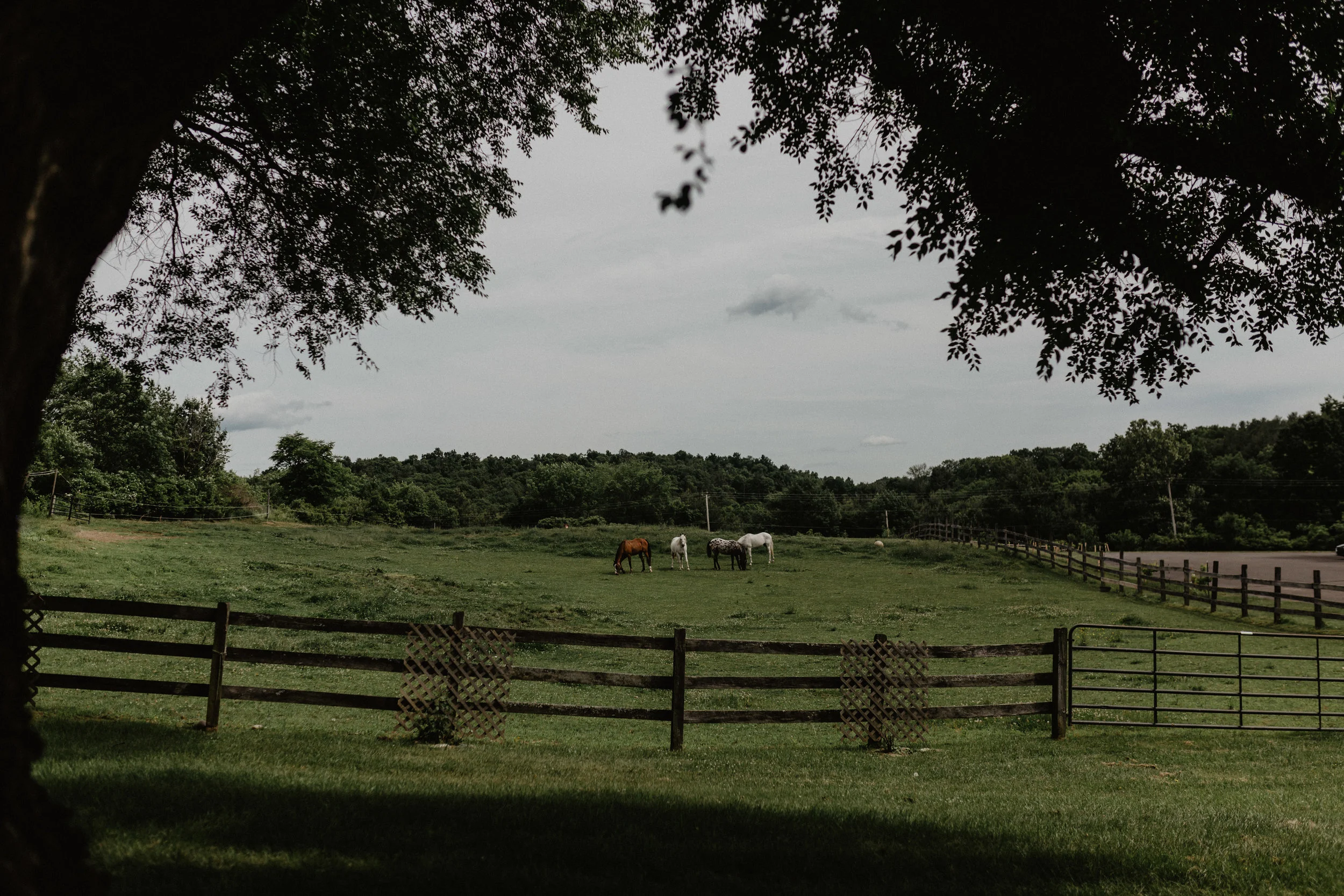 stablegate_farm_and_vineyard_wedding_025.jpg