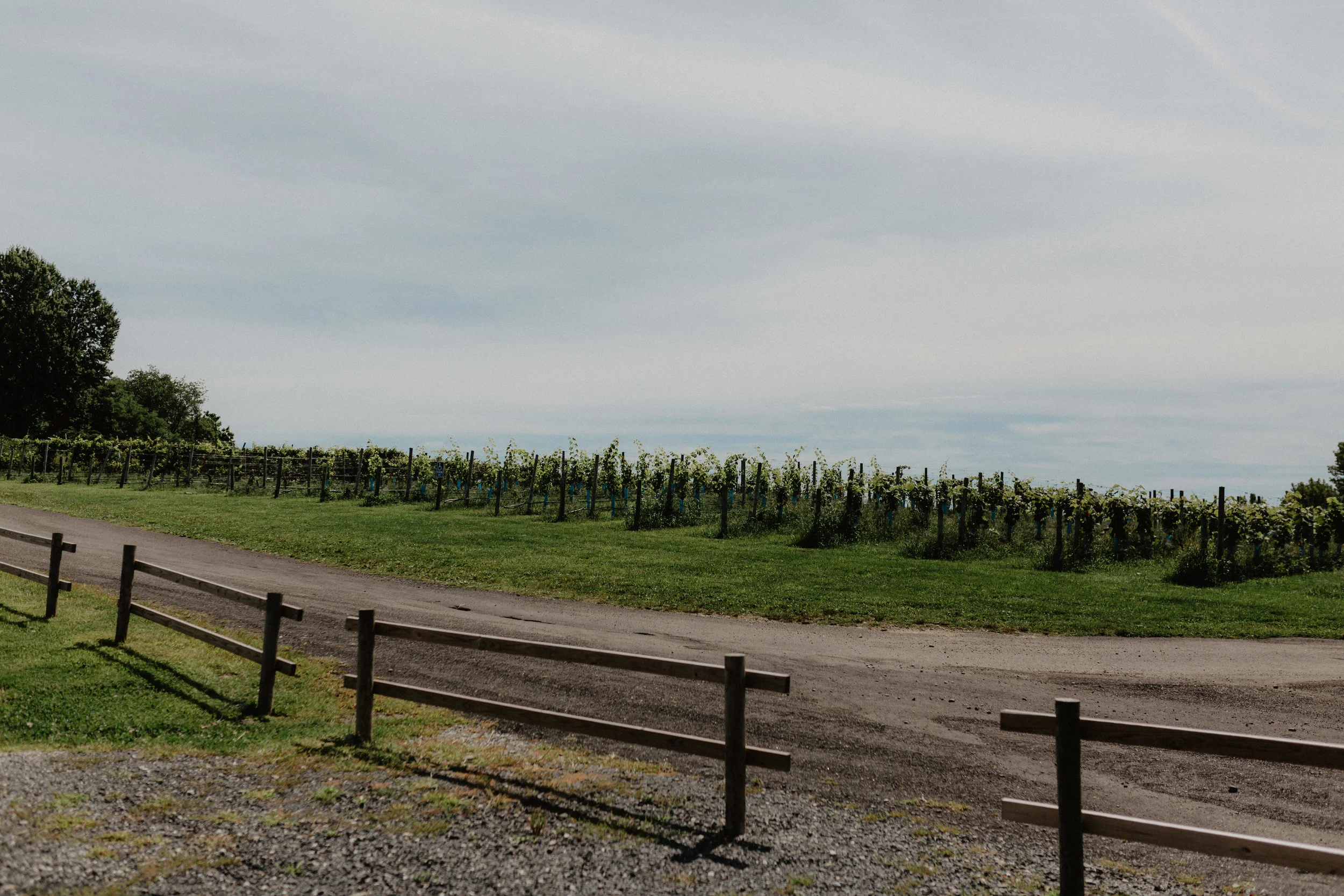 nostrano-vineyards-wedding-5.jpg