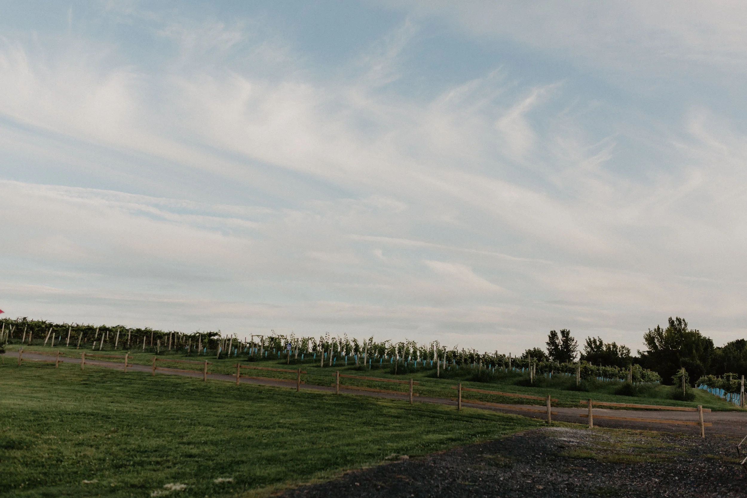 nostrano-vineyards-wedding-103.jpg