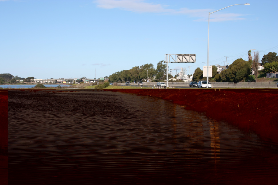 King tides in Richmond near 580