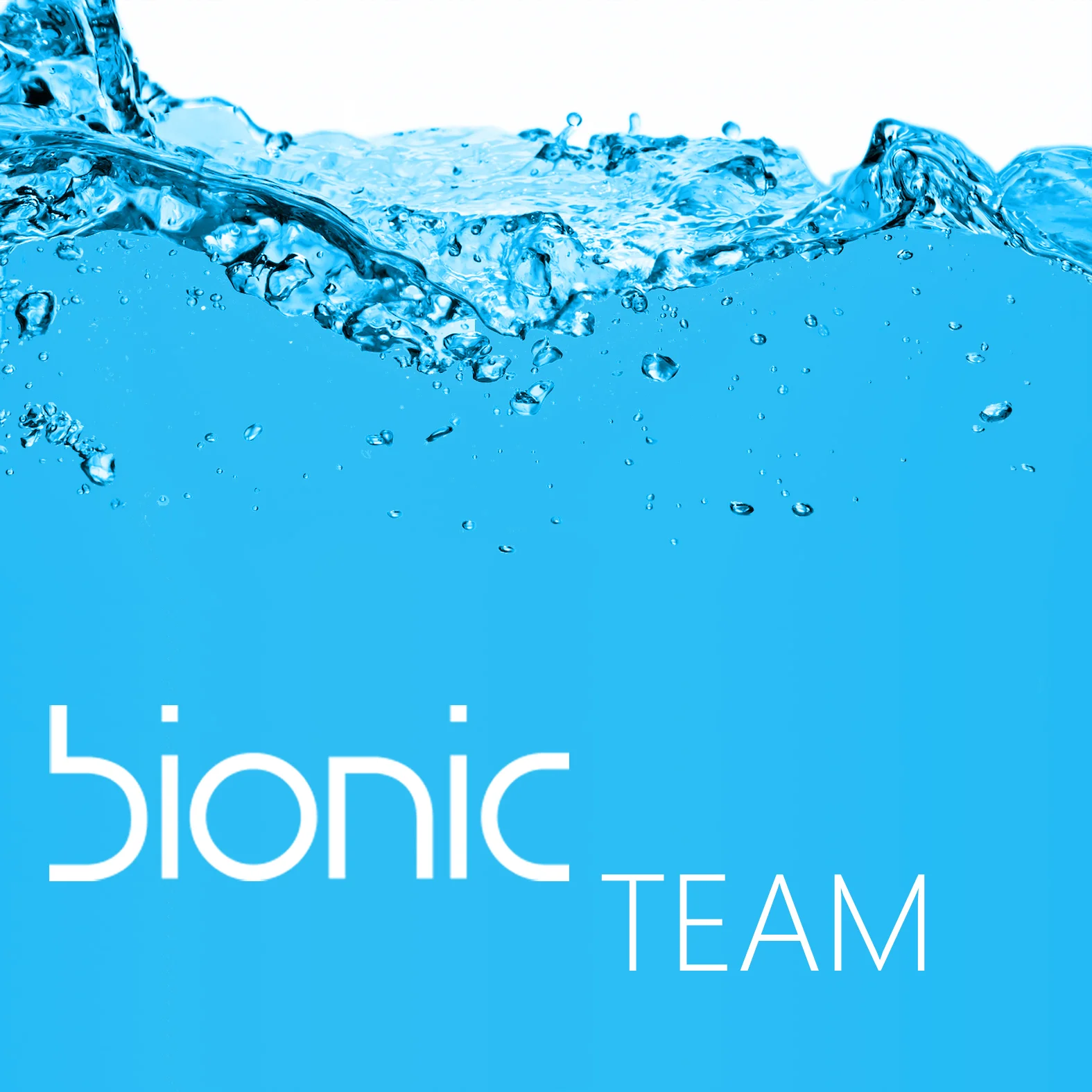 RBD - BionicTeam Logo.jpg
