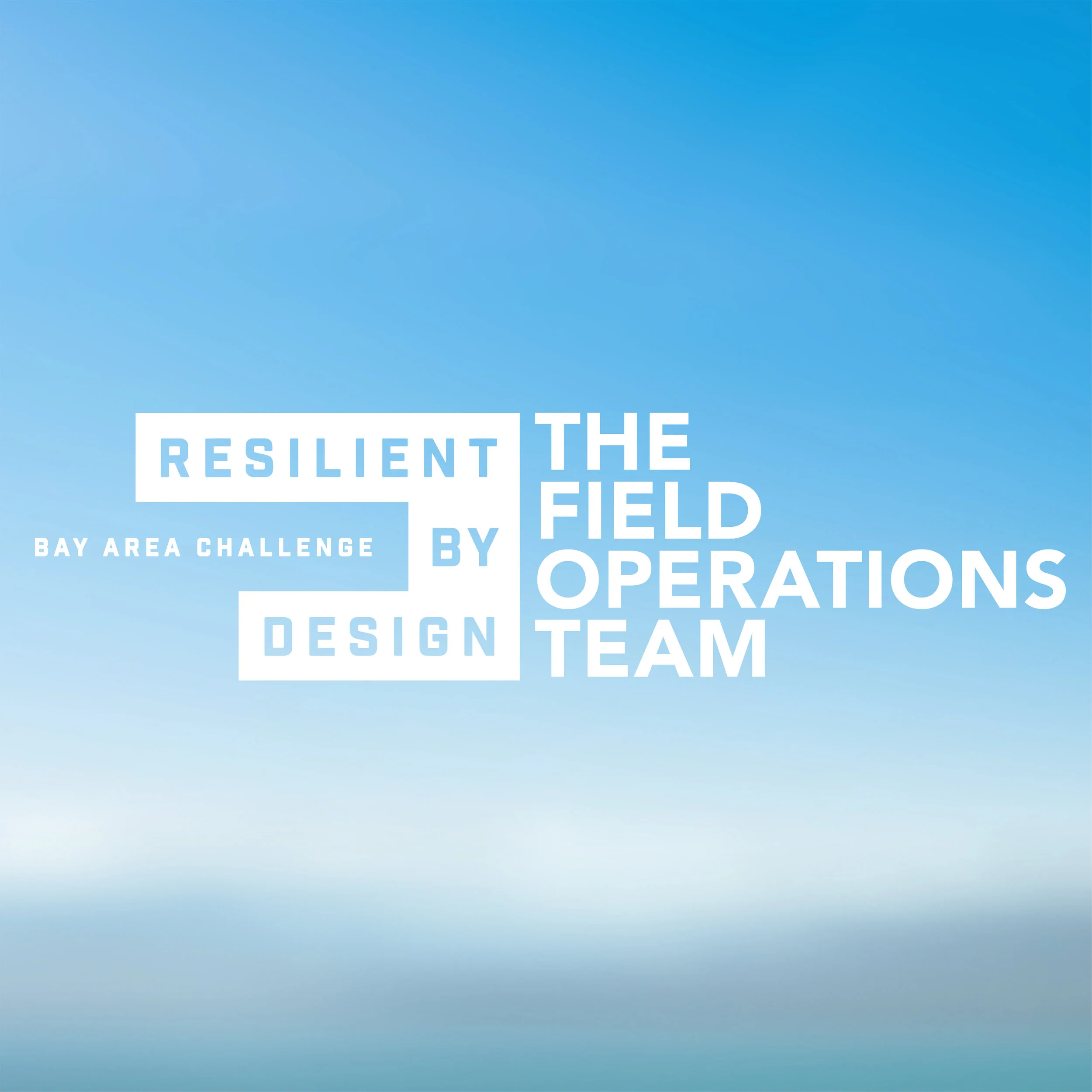 THE FIELD OPERATIONS TEAM (1).jpg
