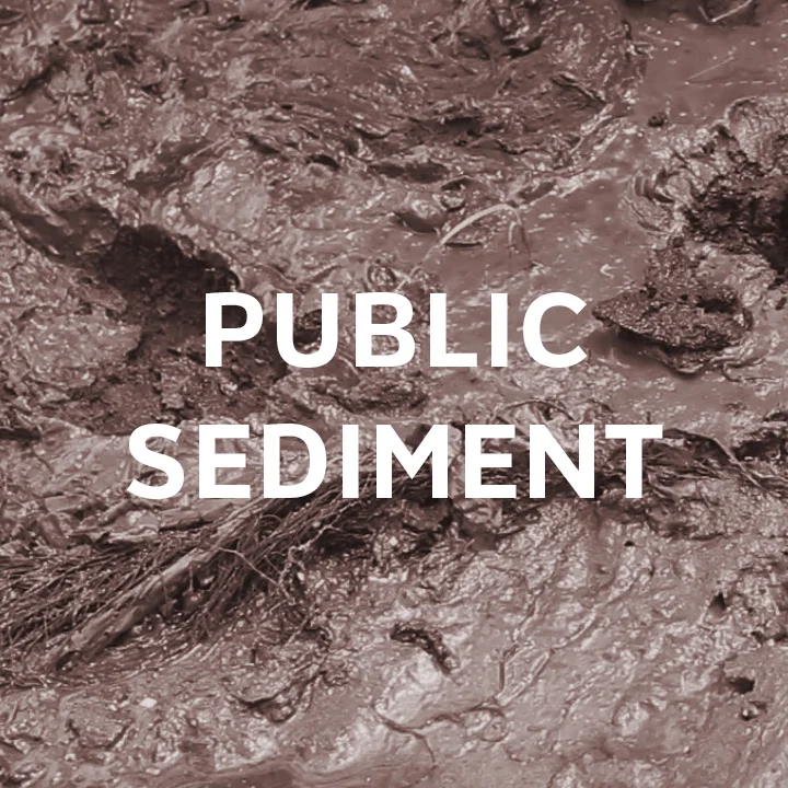 RBD_PublicSediment_TeamImage (2).jpg