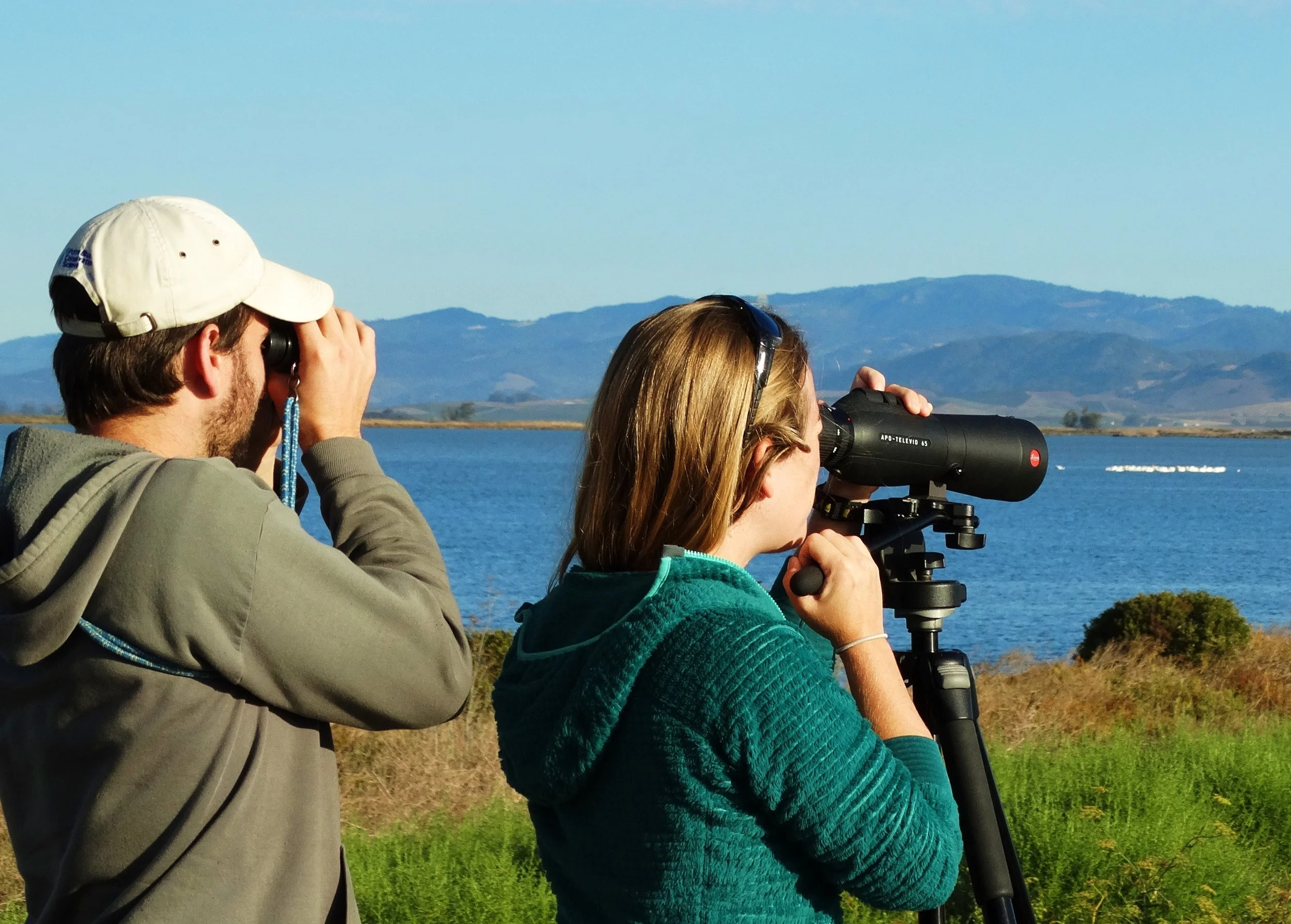 SF Baylands, Climate Change and Highway 37