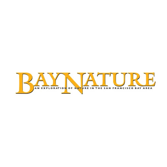 bay.jpg