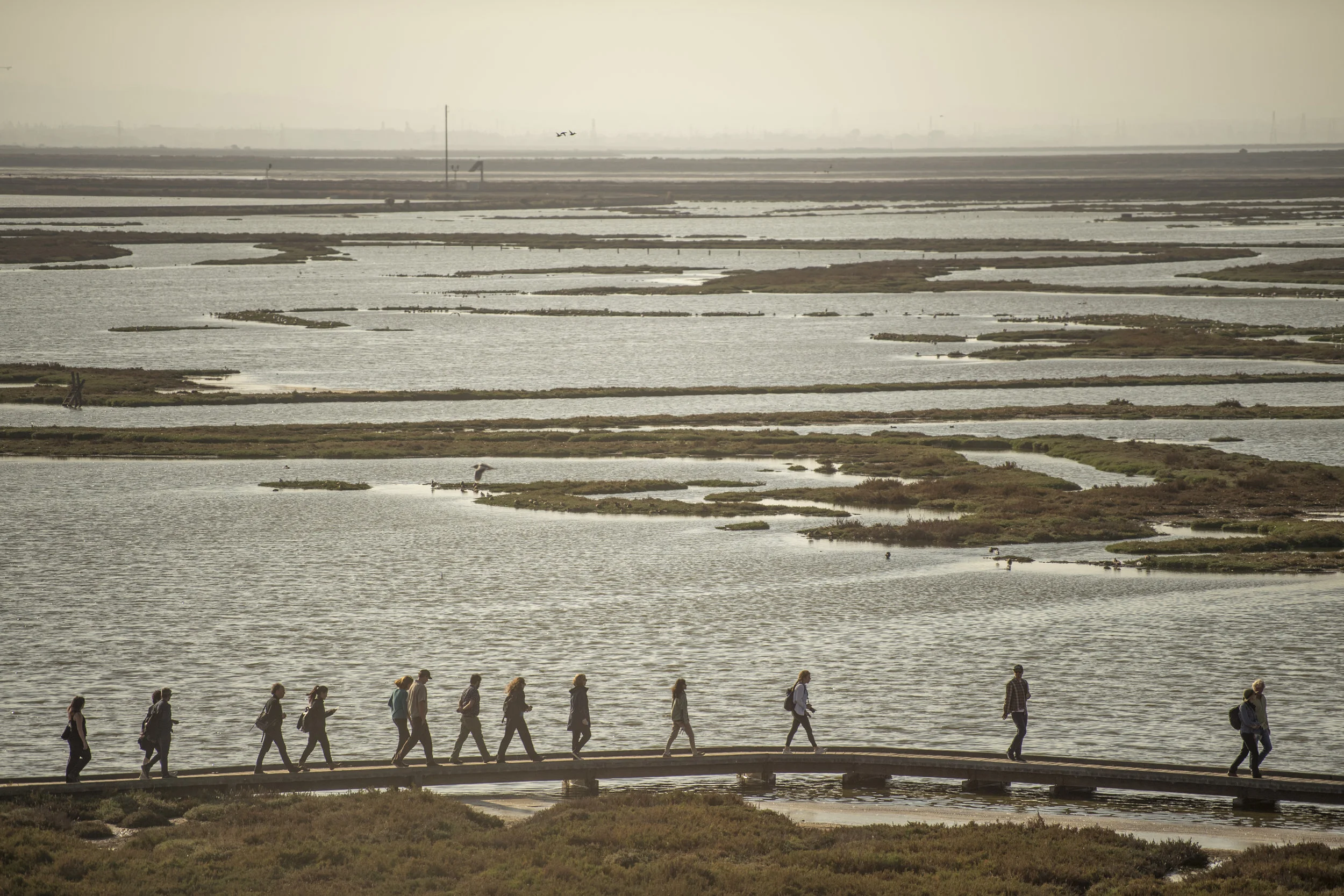 Reflecting on the Collaborative Research Phase