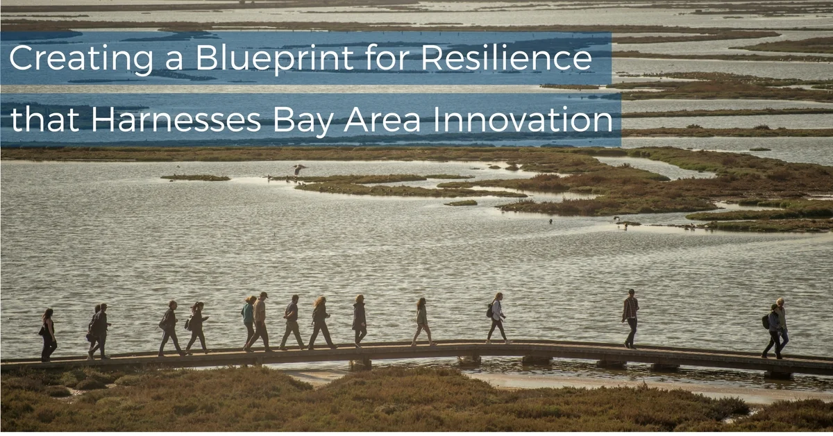 Creating a Blueprint for Resilience.jpg