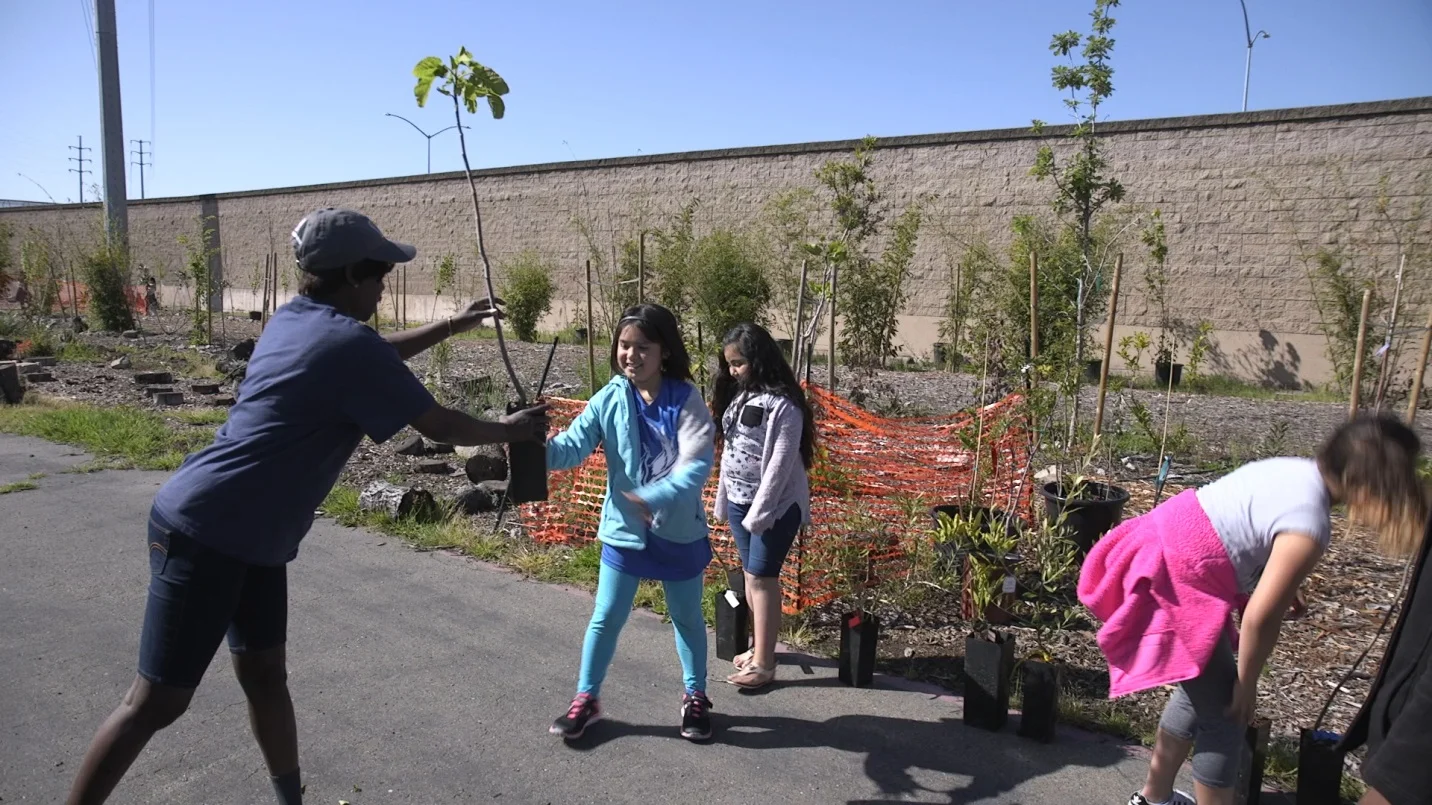 Brookfield kids helping out with the tree planting