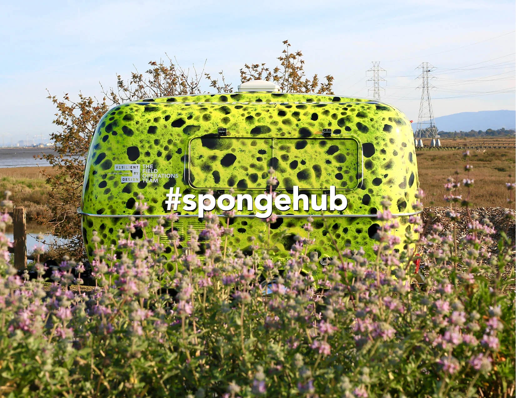 SpongeHub.jpg