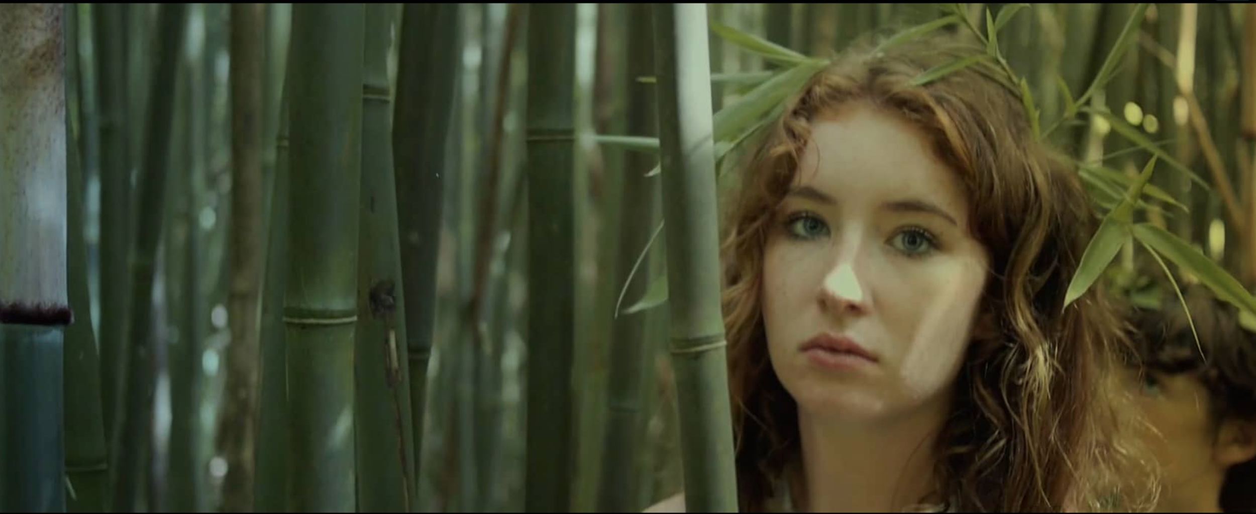 Screen Shot 2016-07-31 at 5.32.30 PM.png