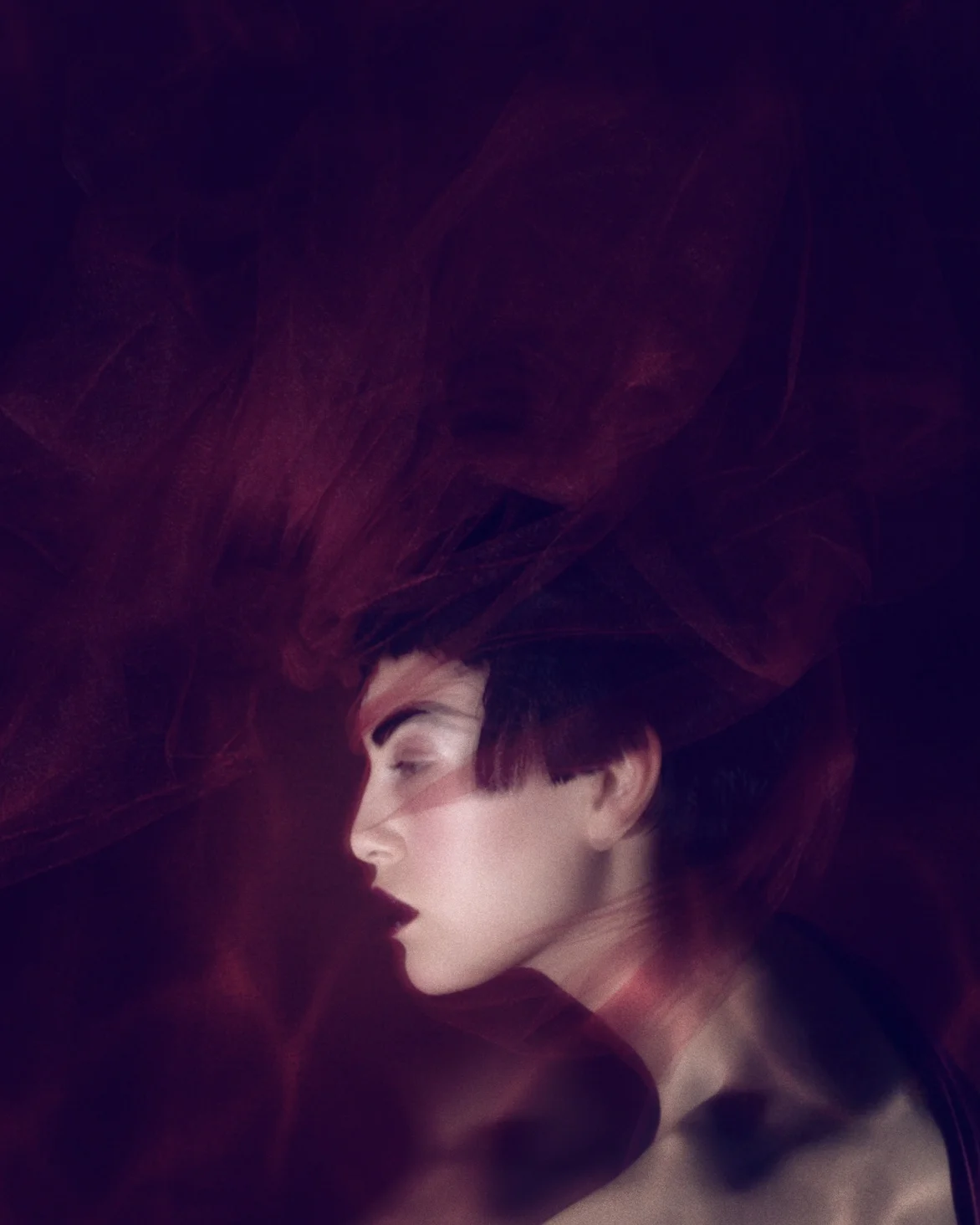 0195 Violette Drama by Christopher Ardell.jpg