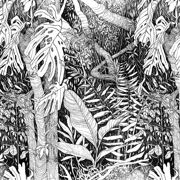 printed-wild-drawing-jungle.jpg