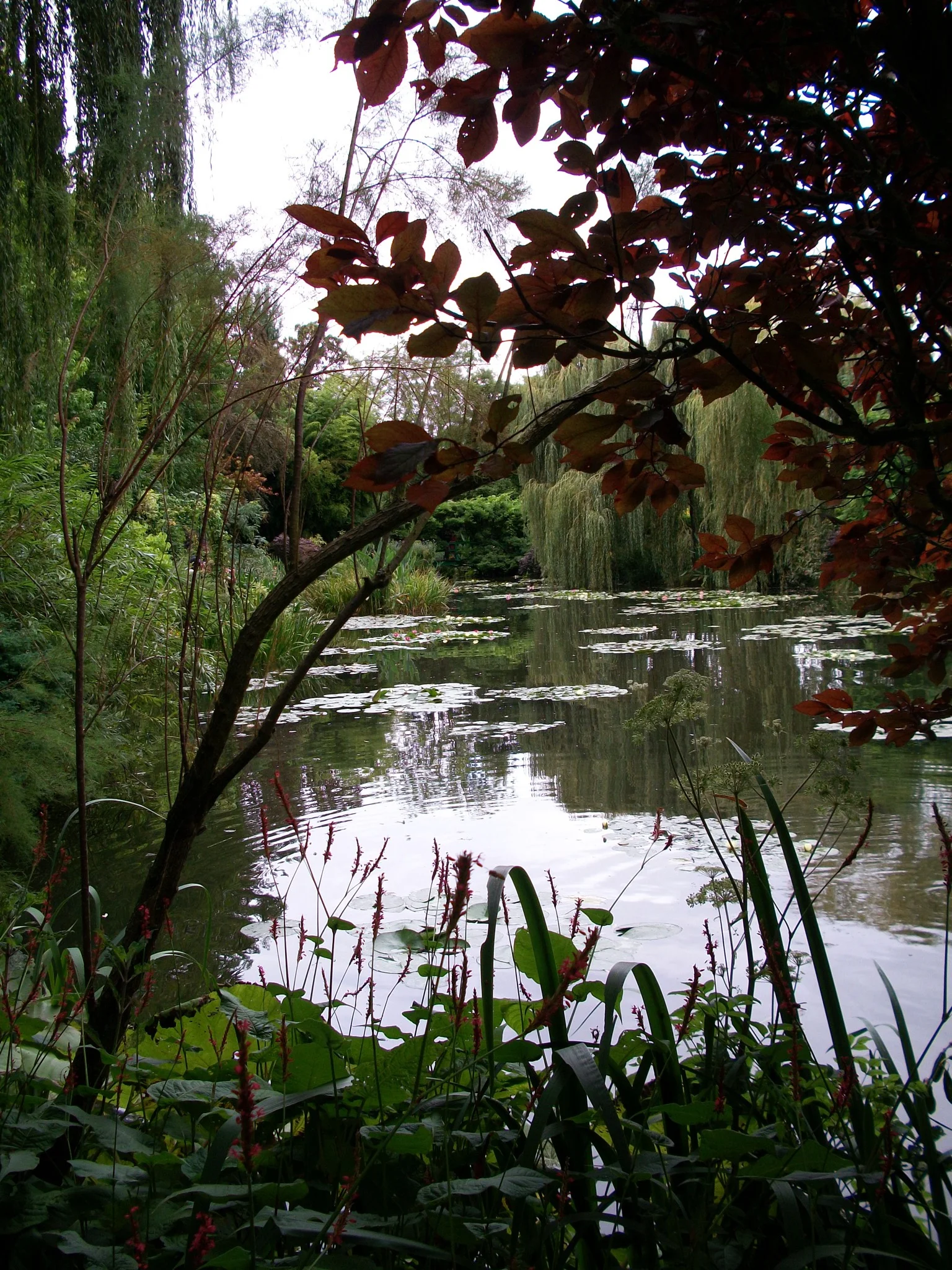 Website Photos - 18 of 216.jpg