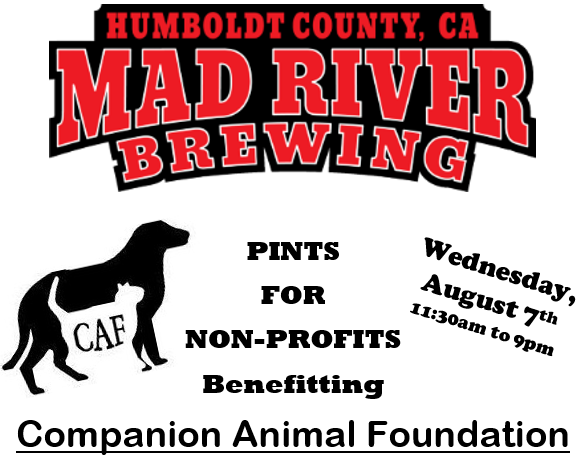 Mad River Brewing Pints for Non-Profits