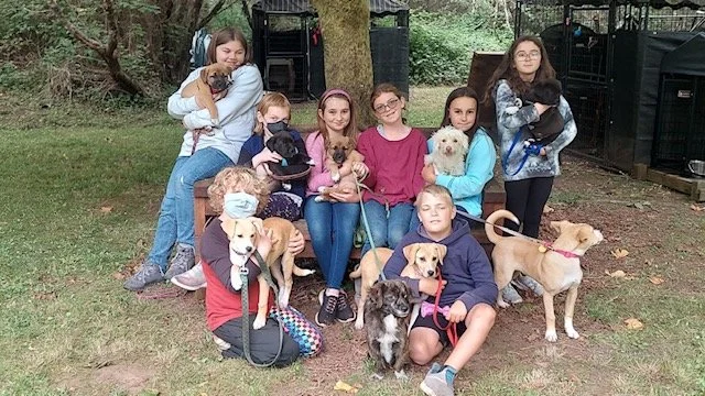 Youth Summer Program Adoption Event