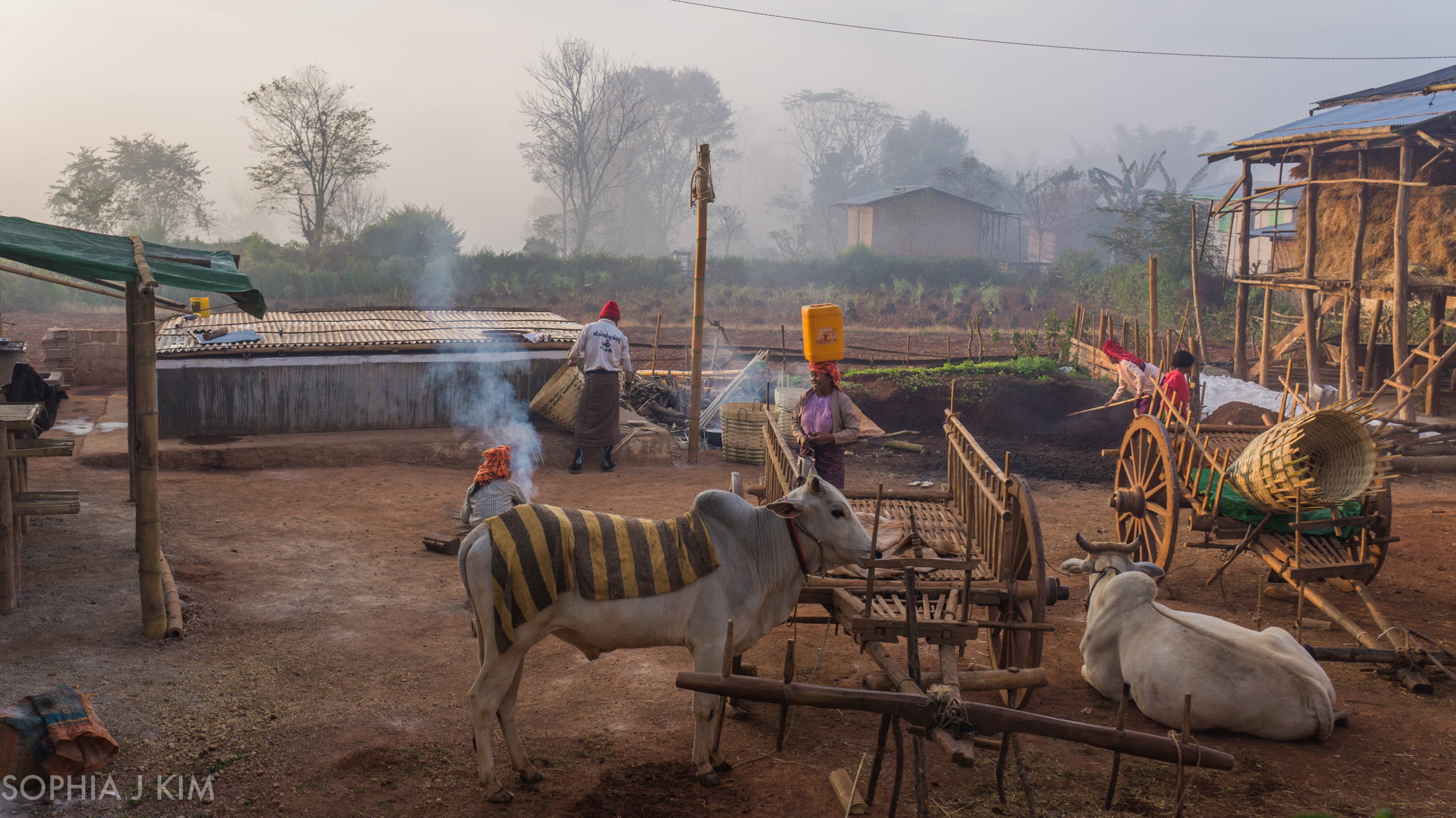 Morning Chores, Myanmar/Burma