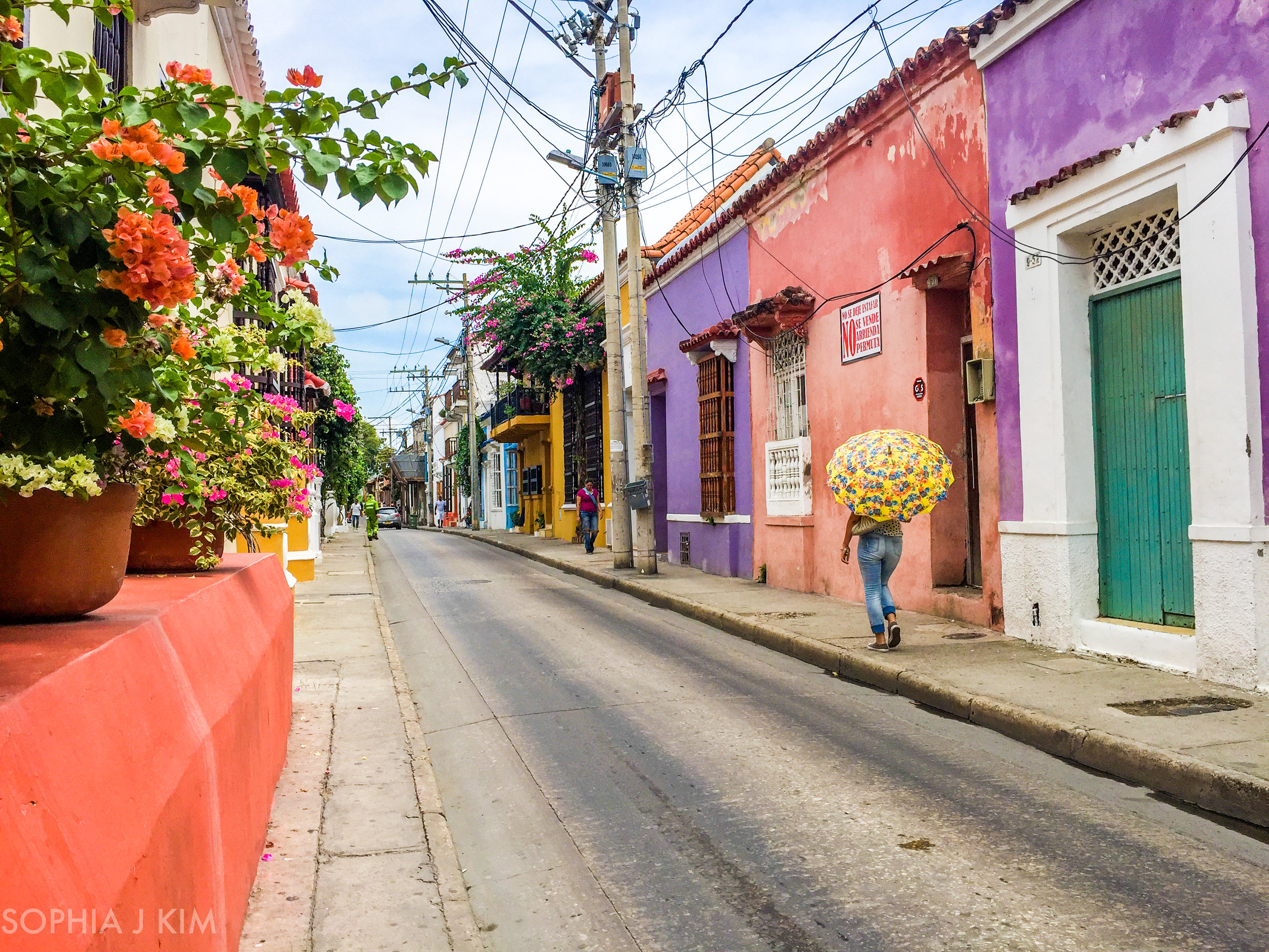 Street Color of Cartagena