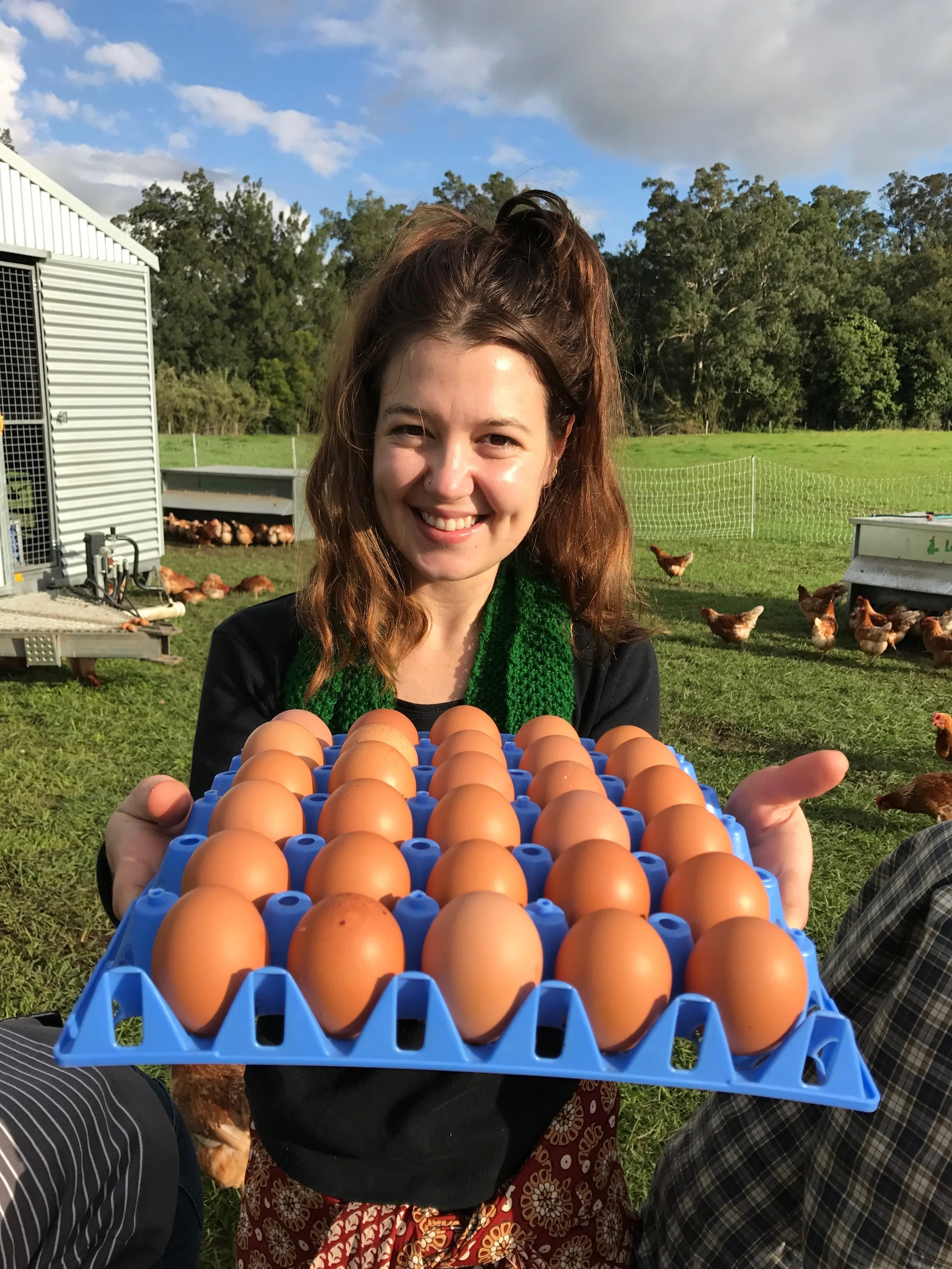 Ever had a back yard chook egg?