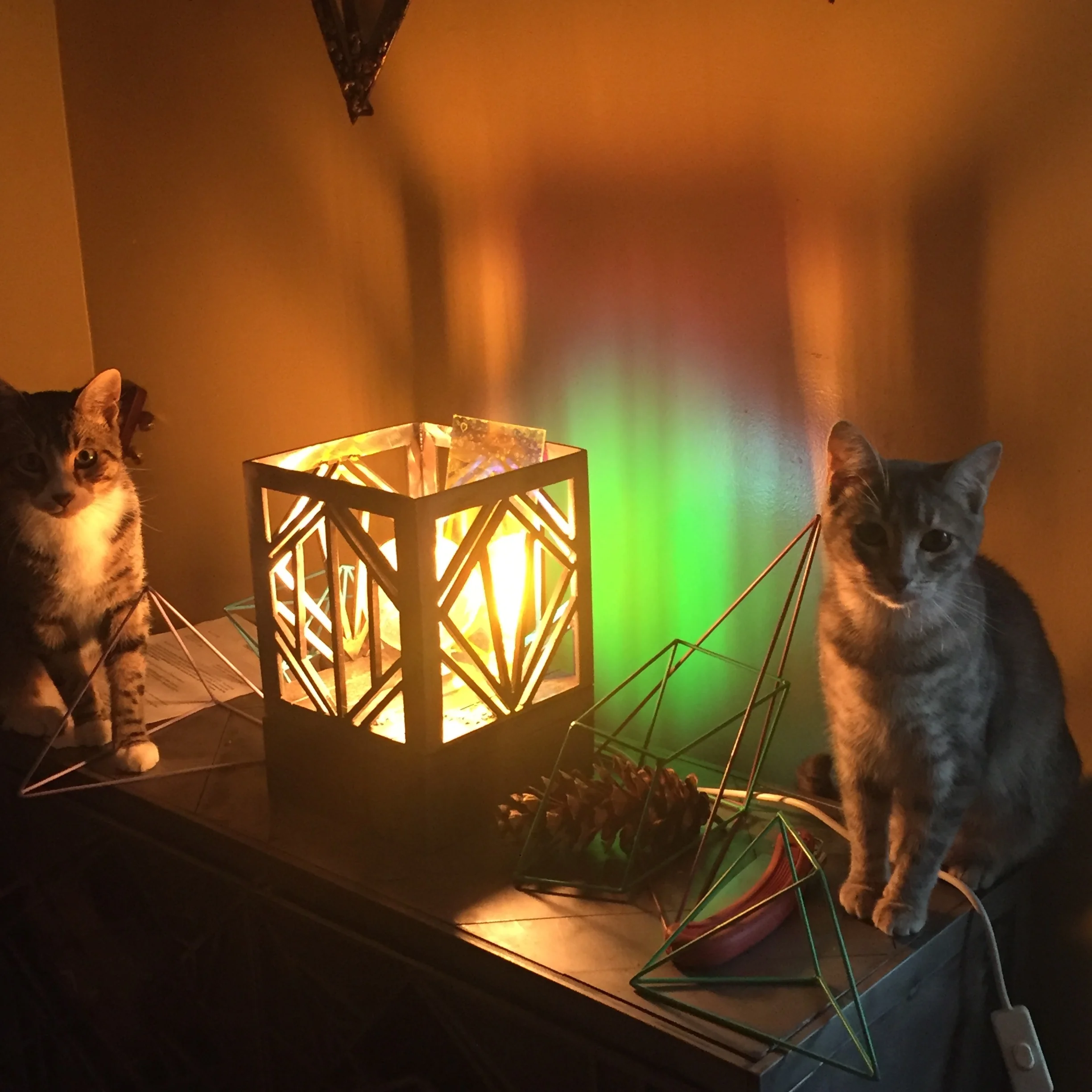 FOG LAMP with BAMBAM AND VIOLET