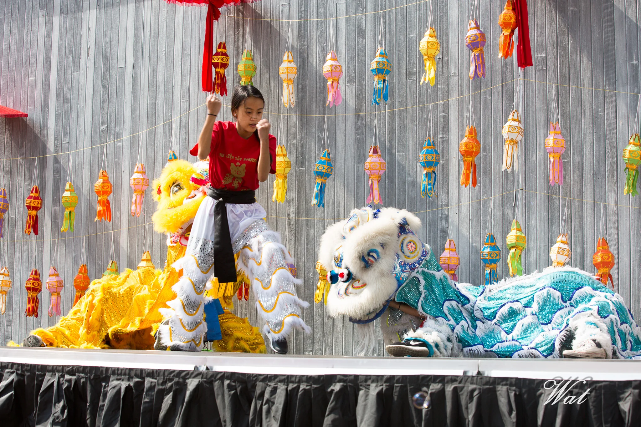 20170910Wat Thai Fun Fest-0090_209A5879.jpg