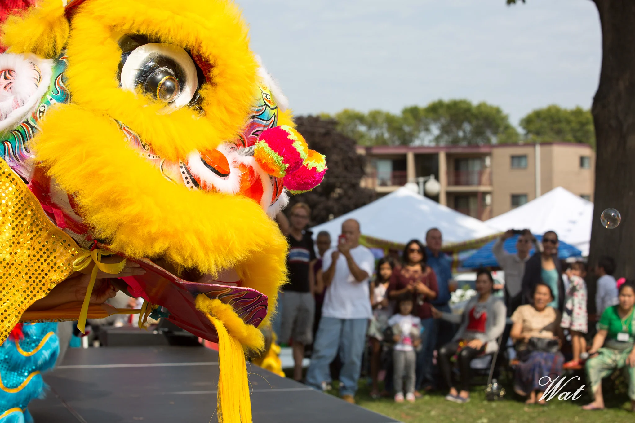 20170910Wat Thai Fun Fest-0108_209A5994.jpg