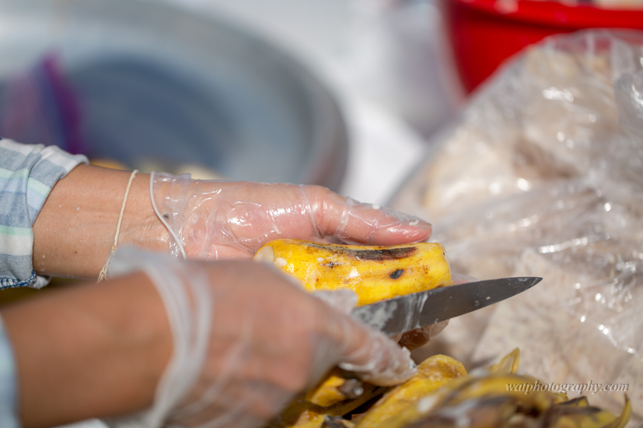 20190915Thai Street Food Festival of MN-0259__Z0A0003.jpg