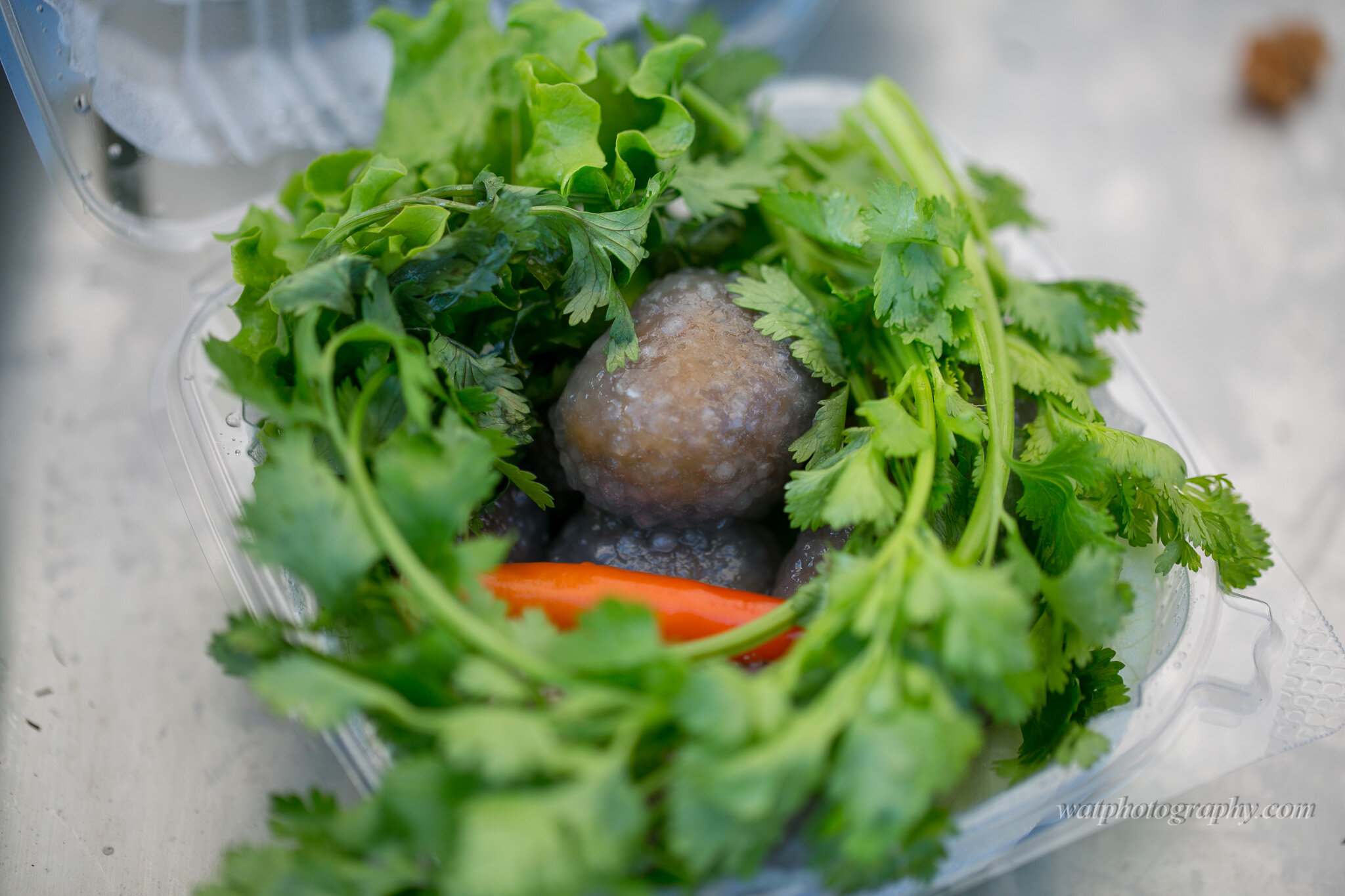 20190915Thai Street Food Festival of MN-0266__Z0A0011.jpg