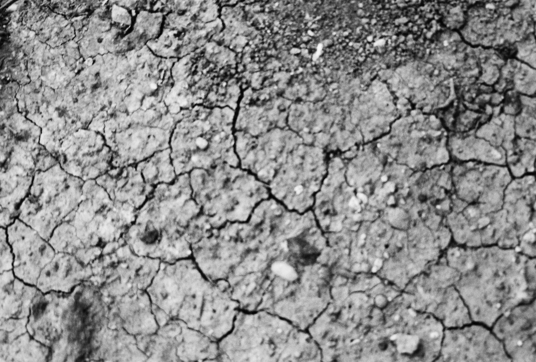 A 96 page photo documentation of a walk through Victoria Australia, focussing on the ground being passed, which was later released as a publication entitled “Dirt”.