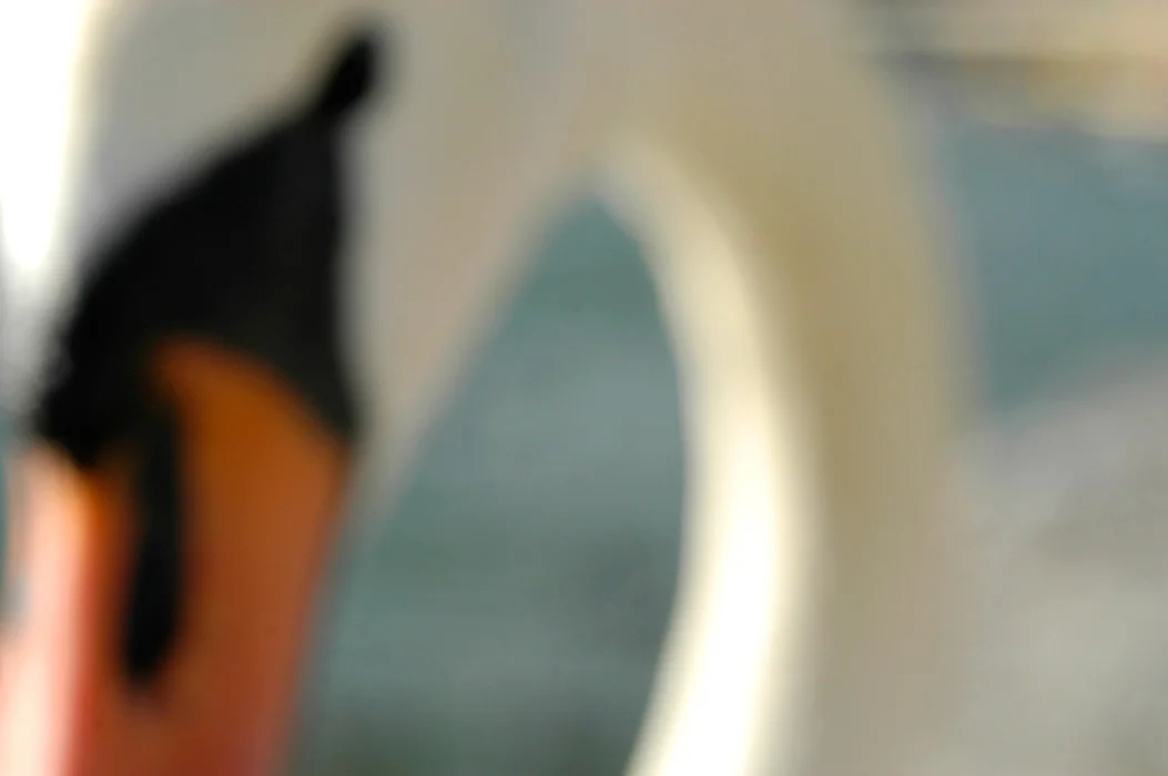 204.jpg