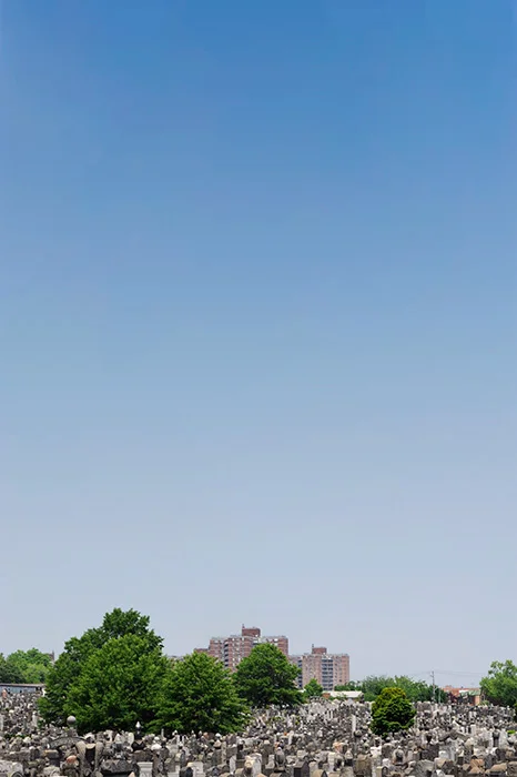 006.jpg