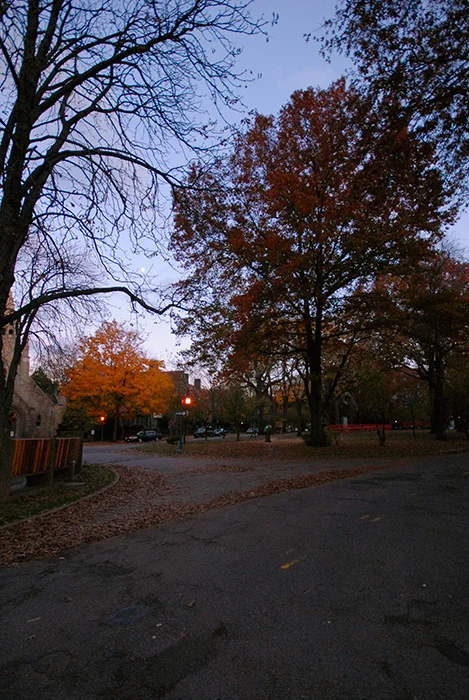 03.jpg