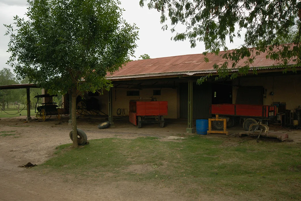 207.jpg