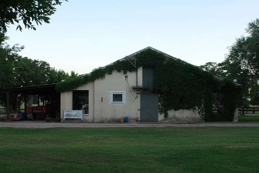 315.jpg
