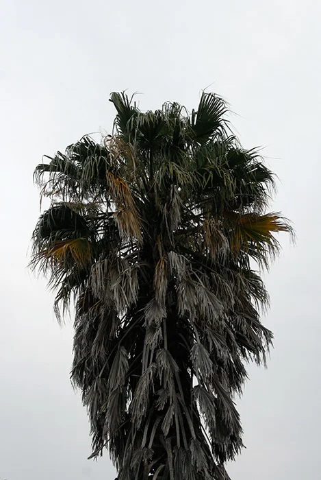 380.jpg