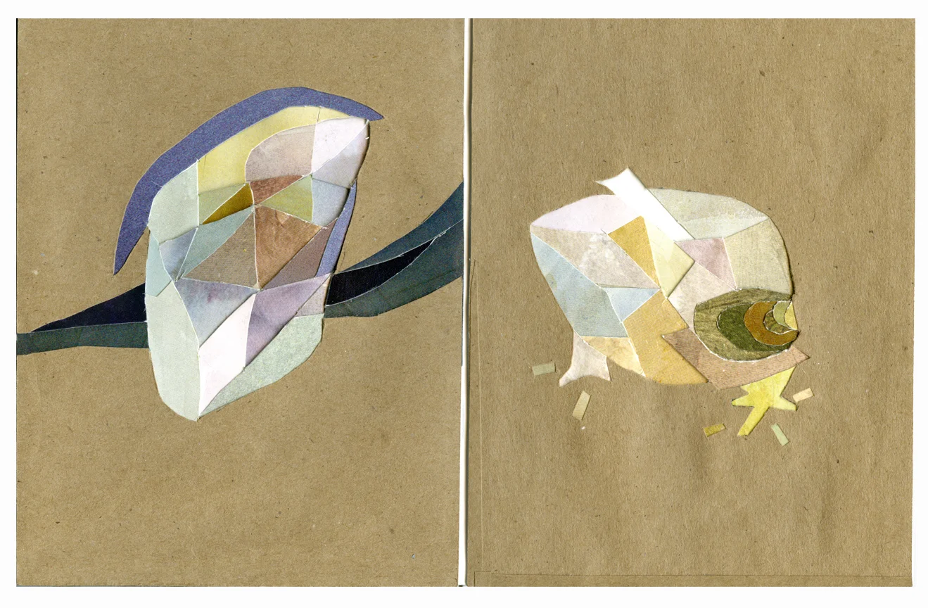 P5&6.jpg