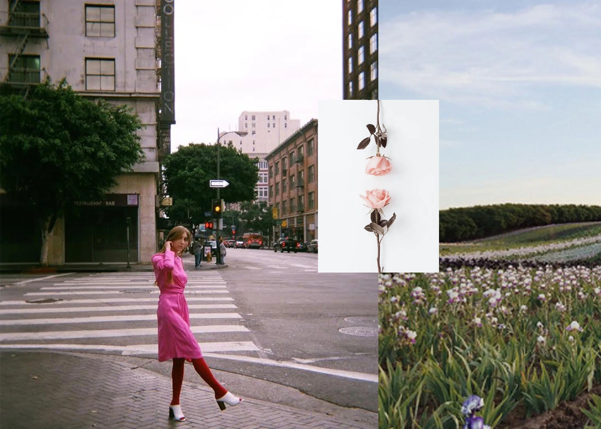 flowers photoshop.jpg